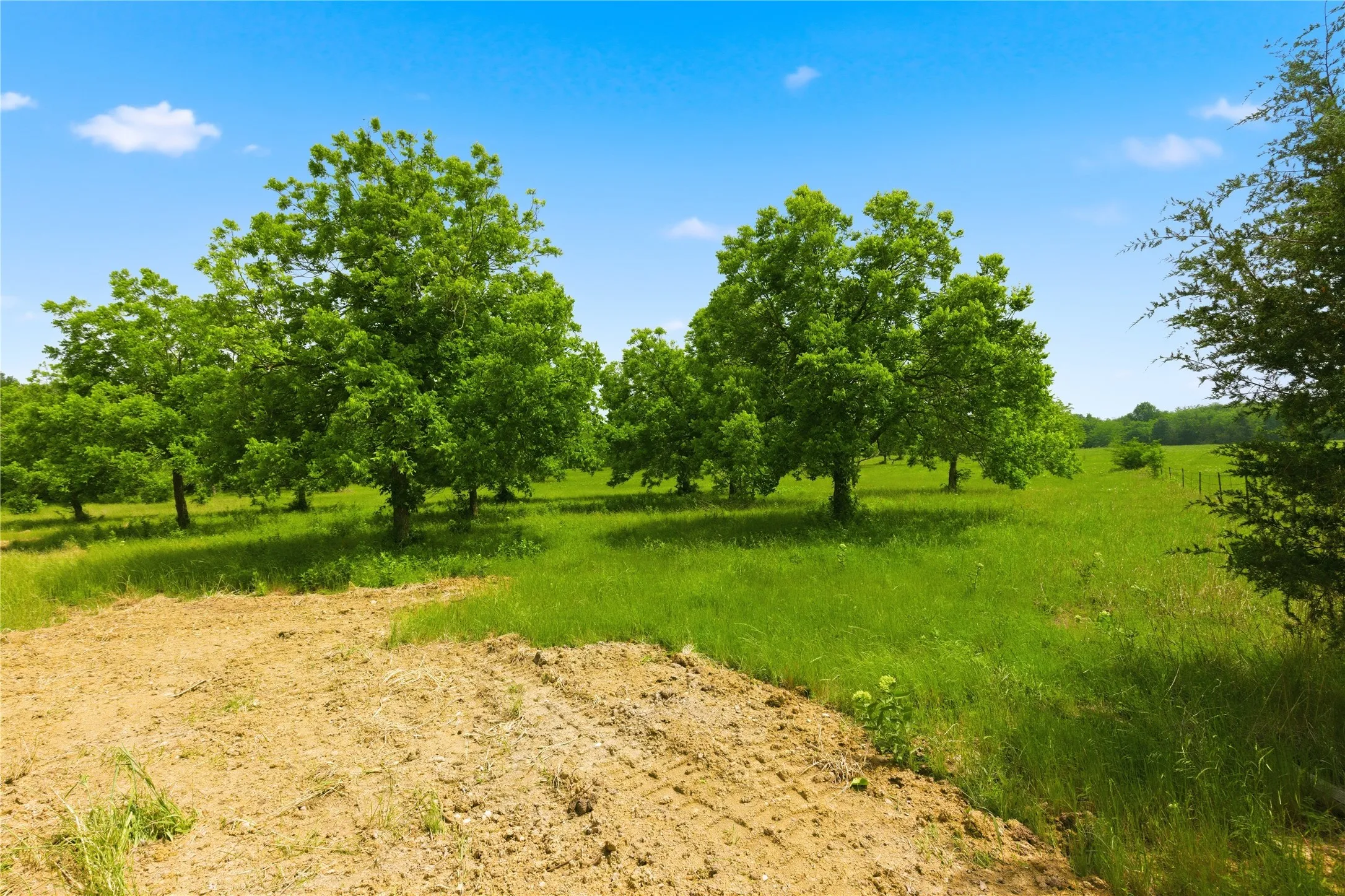 Unimproved Land For Sale in Hunt County , Lot 3 County Road 3430, Lone Oak, Texas 75453, 0, 0, Garage spaces, 0 Sqft, built in 0, mls#21255159, Real Estate Agent in Lone Oak, Homes For Sale in Hunt county, Homes For Sale in Lone Oak, Realtor in Lone Oak Texas, Real Estate Brokerage Independent Realty Texas, Luminita Cordes Realtor