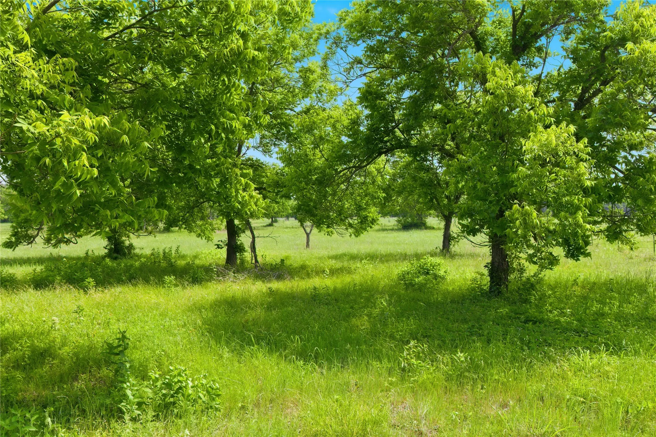 Unimproved Land For Sale in Hunt County , Lot 3 County Road 3430, Lone Oak, Texas 75453, 0, 0, Garage spaces, 0 Sqft, built in 0, mls#21255159, Real Estate Agent in Lone Oak, Homes For Sale in Hunt county, Homes For Sale in Lone Oak, Realtor in Lone Oak Texas, Real Estate Brokerage Independent Realty Texas, Luminita Cordes Realtor