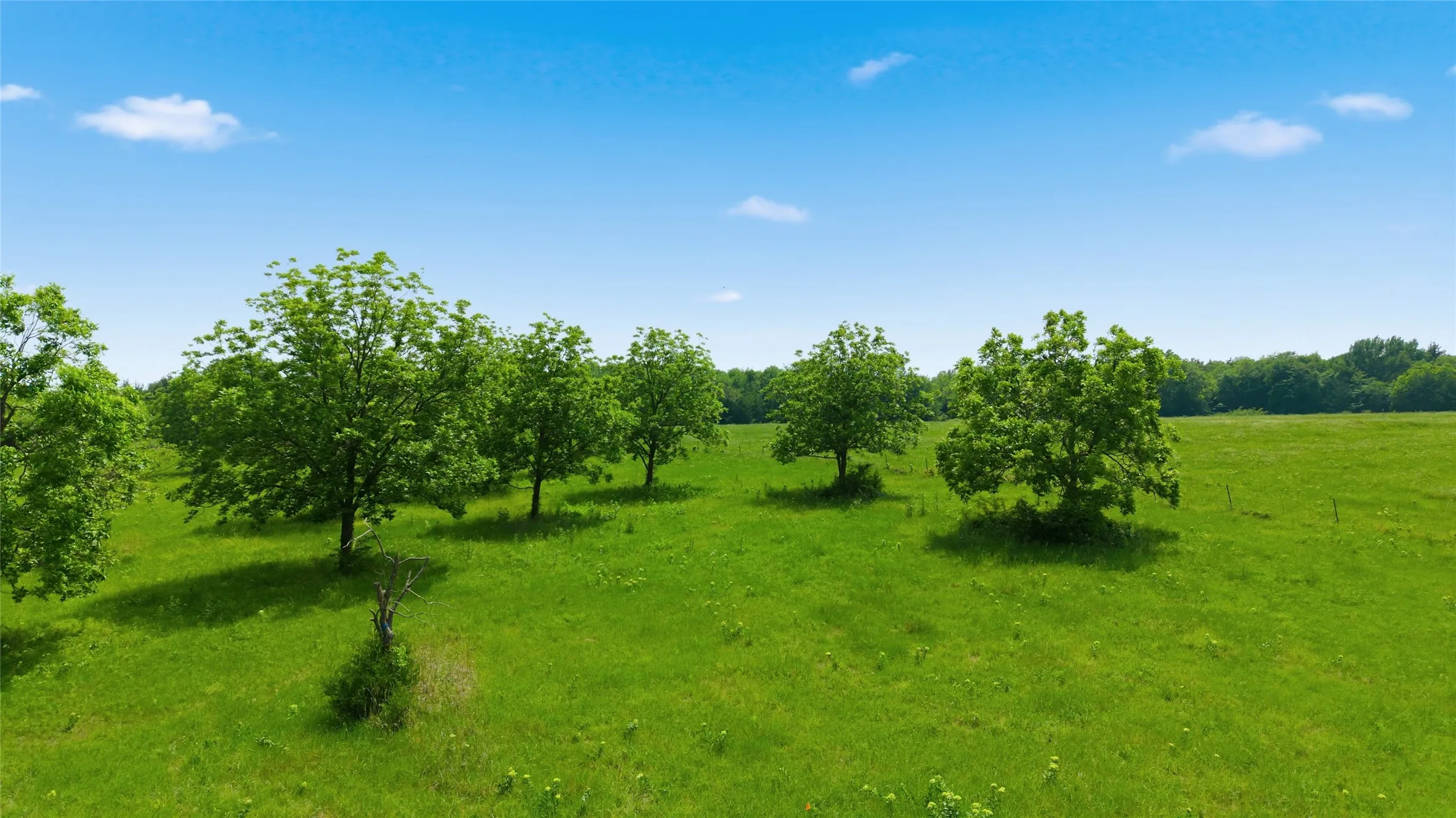 Unimproved Land For Sale in Hunt County , Lot 3 County Road 3430, Lone Oak, Texas 75453, 0, 0, Garage spaces, 0 Sqft, built in 0, mls#21255159, Real Estate Agent in Lone Oak, Homes For Sale in Hunt county, Homes For Sale in Lone Oak, Realtor in Lone Oak Texas, Real Estate Brokerage Independent Realty Texas, Luminita Cordes Realtor