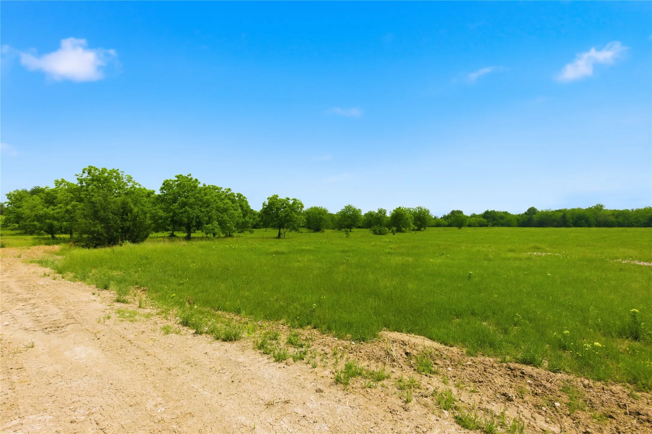 Unimproved Land For Sale in Hunt County , Lot 3 County Road 3430, Lone Oak, Texas 75453, 0, 0, Garage spaces, 0 Sqft, built in 0, mls#21255159, Real Estate Agent in Lone Oak, Homes For Sale in Hunt county, Homes For Sale in Lone Oak, Realtor in Lone Oak Texas, Real Estate Brokerage Independent Realty Texas, Luminita Cordes Realtor