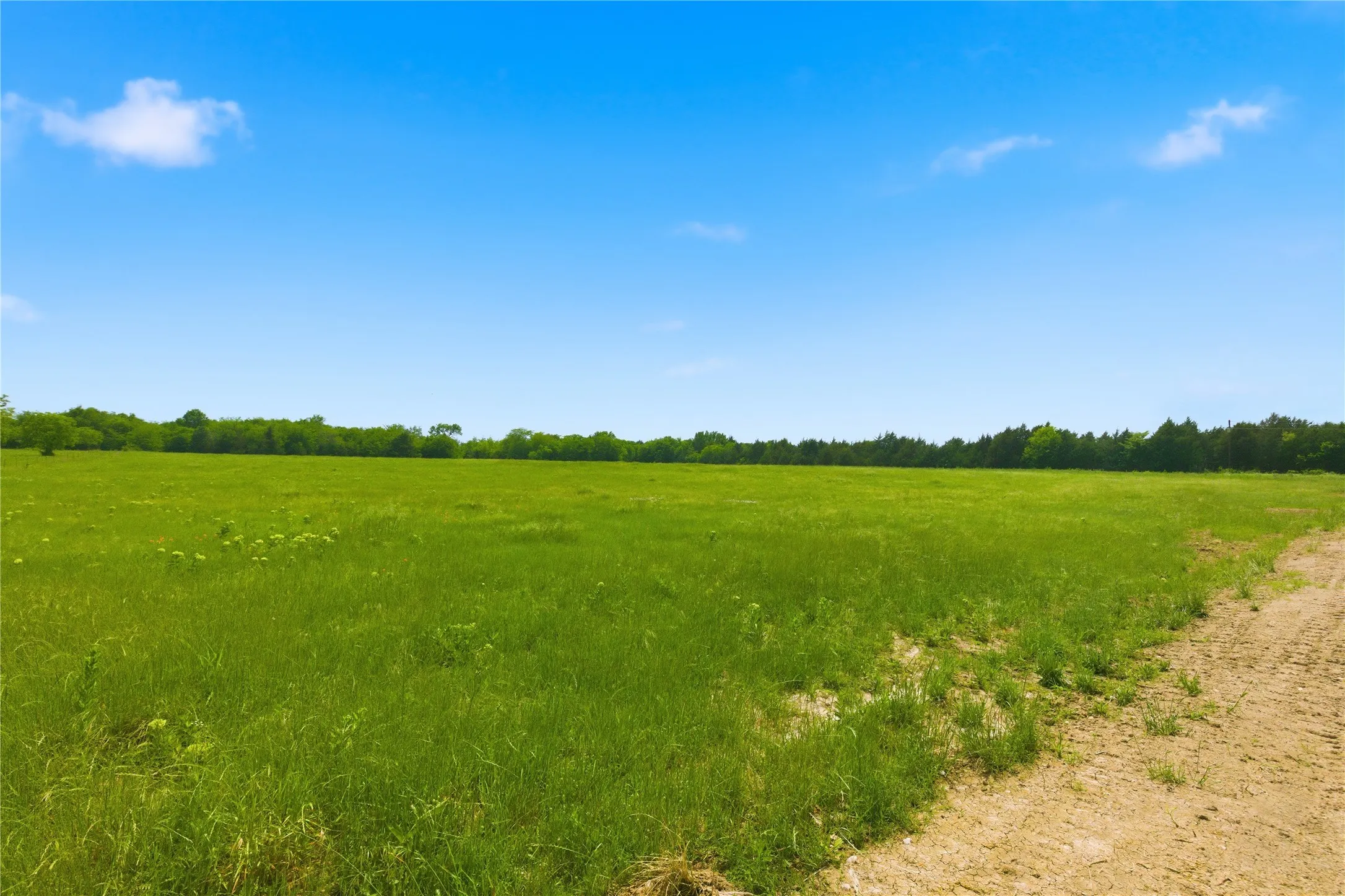 Unimproved Land For Sale in Hunt County , Lot 3 County Road 3430, Lone Oak, Texas 75453, 0, 0, Garage spaces, 0 Sqft, built in 0, mls#21255159, Real Estate Agent in Lone Oak, Homes For Sale in Hunt county, Homes For Sale in Lone Oak, Realtor in Lone Oak Texas, Real Estate Brokerage Independent Realty Texas, Luminita Cordes Realtor