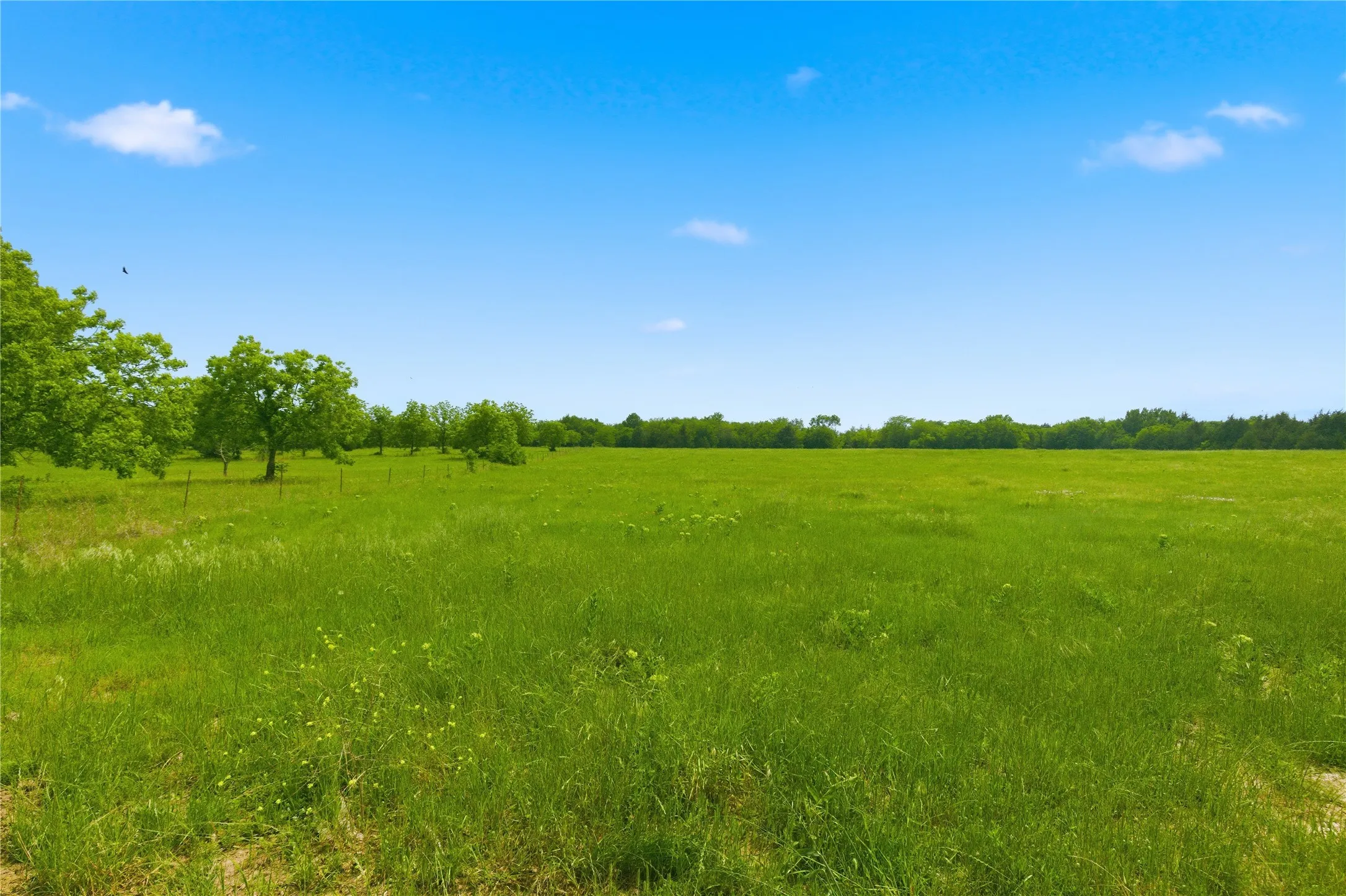Unimproved Land For Sale in Hunt County , Lot 3 County Road 3430, Lone Oak, Texas 75453, 0, 0, Garage spaces, 0 Sqft, built in 0, mls#21255159, Real Estate Agent in Lone Oak, Homes For Sale in Hunt county, Homes For Sale in Lone Oak, Realtor in Lone Oak Texas, Real Estate Brokerage Independent Realty Texas, Luminita Cordes Realtor