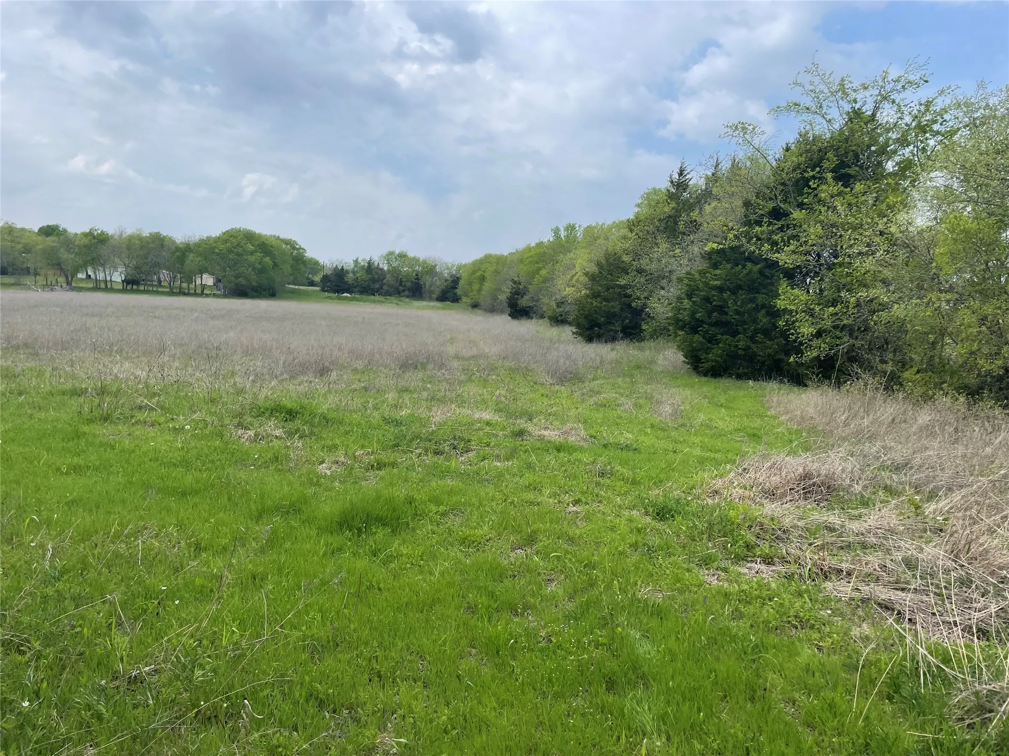 Unimproved Land For Sale in Grayson County , TBD FM 121, Van Alstyne, Texas 75495, 0, 0, Garage spaces, 0 Sqft, built in 0, mls#21258307, Real Estate Agent in Van Alstyne, Homes For Sale in Grayson county, Homes For Sale in Van Alstyne, Realtor in Van Alstyne Texas, Real Estate Brokerage Independent Realty Texas, Luminita Cordes Realtor