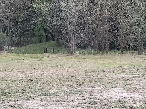 Unimproved Land For Sale in Grayson County , TBD FM 121, Van Alstyne, Texas 75495, 0, 0, Garage spaces, 0 Sqft, built in 0, mls#21258307, Real Estate Agent in Van Alstyne, Homes For Sale in Grayson county, Homes For Sale in Van Alstyne, Realtor in Van Alstyne Texas, Real Estate Brokerage Independent Realty Texas, Luminita Cordes Realtor
