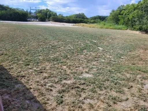 Unimproved Land For Sale in Grayson County , TBD FM 121, Van Alstyne, Texas 75495, 0, 0, Garage spaces, 0 Sqft, built in 0, mls#21258307, Real Estate Agent in Van Alstyne, Homes For Sale in Grayson county, Homes For Sale in Van Alstyne, Realtor in Van Alstyne Texas, Real Estate Brokerage Independent Realty Texas, Luminita Cordes Realtor