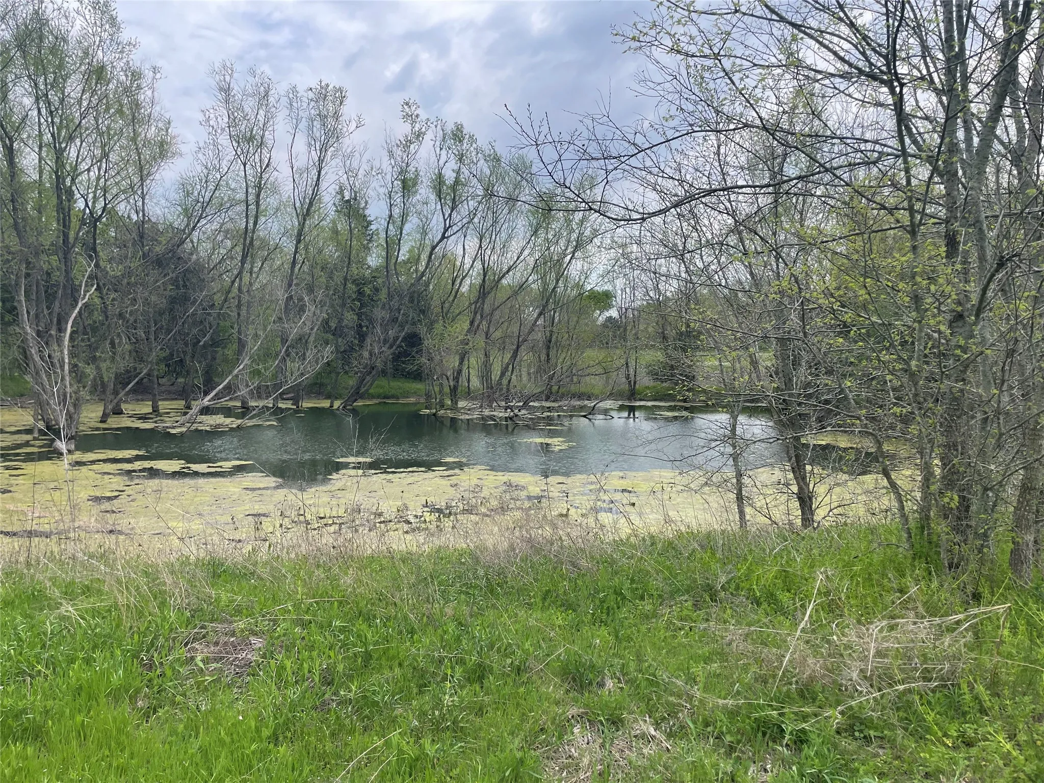 Unimproved Land For Sale in Grayson County , TBD FM 121, Van Alstyne, Texas 75495, 0, 0, Garage spaces, 0 Sqft, built in 0, mls#21258307, Real Estate Agent in Van Alstyne, Homes For Sale in Grayson county, Homes For Sale in Van Alstyne, Realtor in Van Alstyne Texas, Real Estate Brokerage Independent Realty Texas, Luminita Cordes Realtor