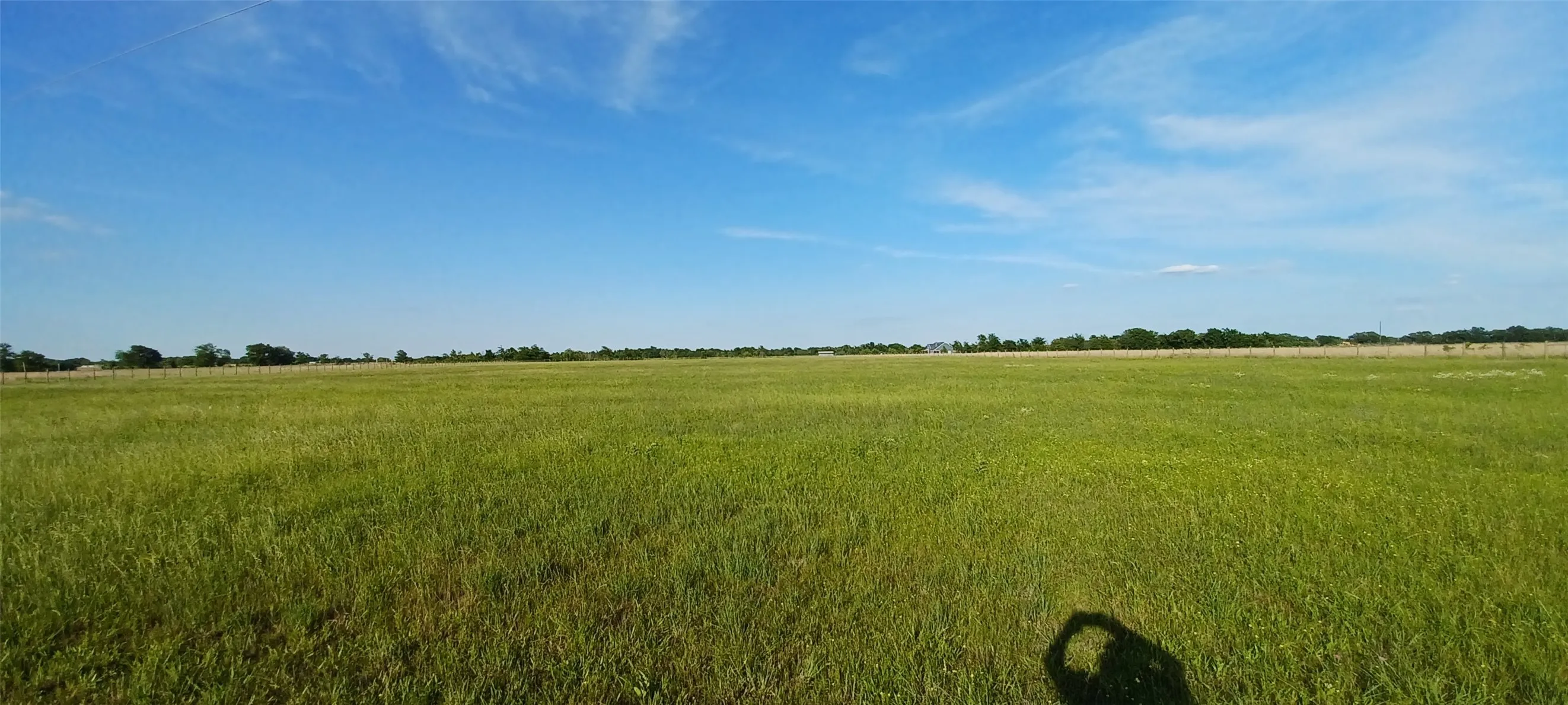 Acreage behind the home.