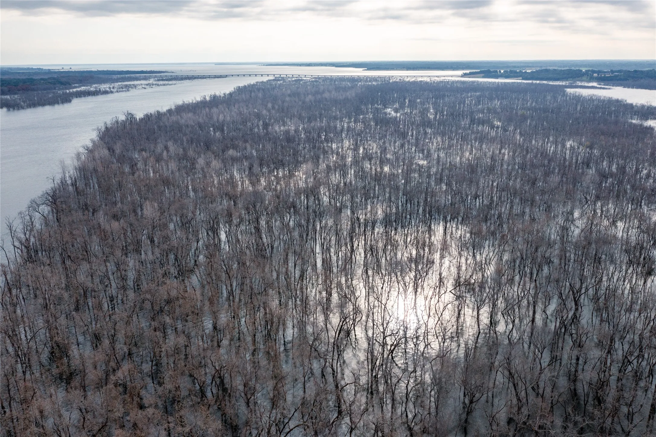 Unimproved Land For Sale in Fannin County , 615 Bois D 'Arc Lane, Dodd City, Texas 75438, 0, 0, Garage spaces, 0 Sqft, built in 0, mls#21258413, Real Estate Agent in Dodd City, Homes For Sale in Fannin county, Homes For Sale in Dodd City, Realtor in Dodd City Texas, Real Estate Brokerage Independent Realty Texas, Luminita Cordes Realtor