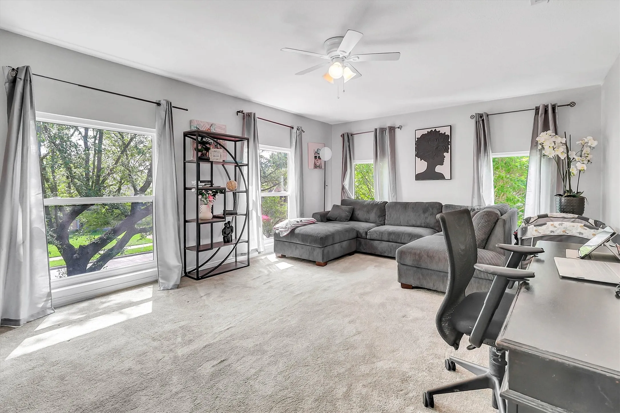 Spacious room featuring multiple large windows, soft carpet flooring, a ceiling fan, and light gray walls