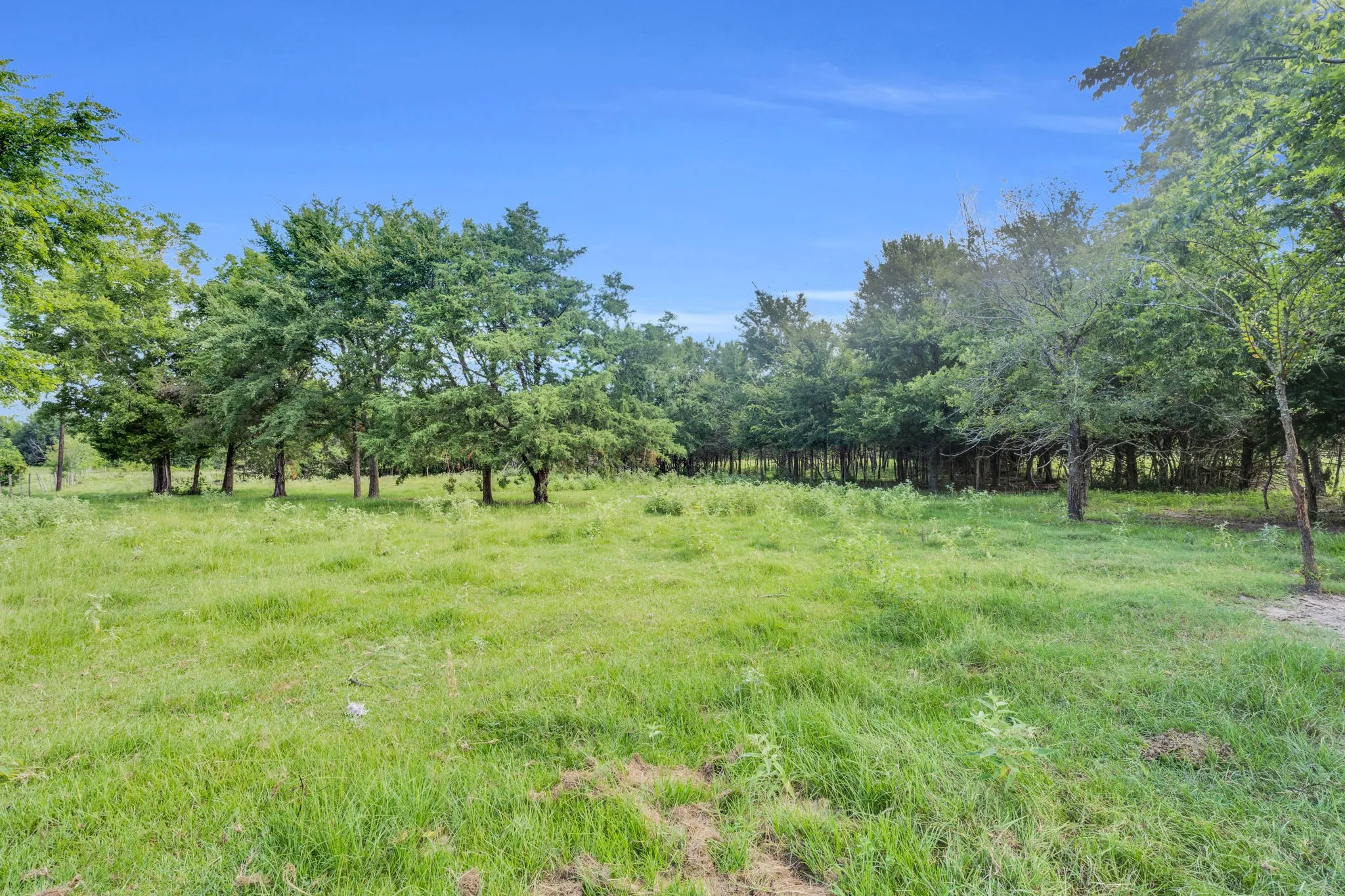 View of acreage