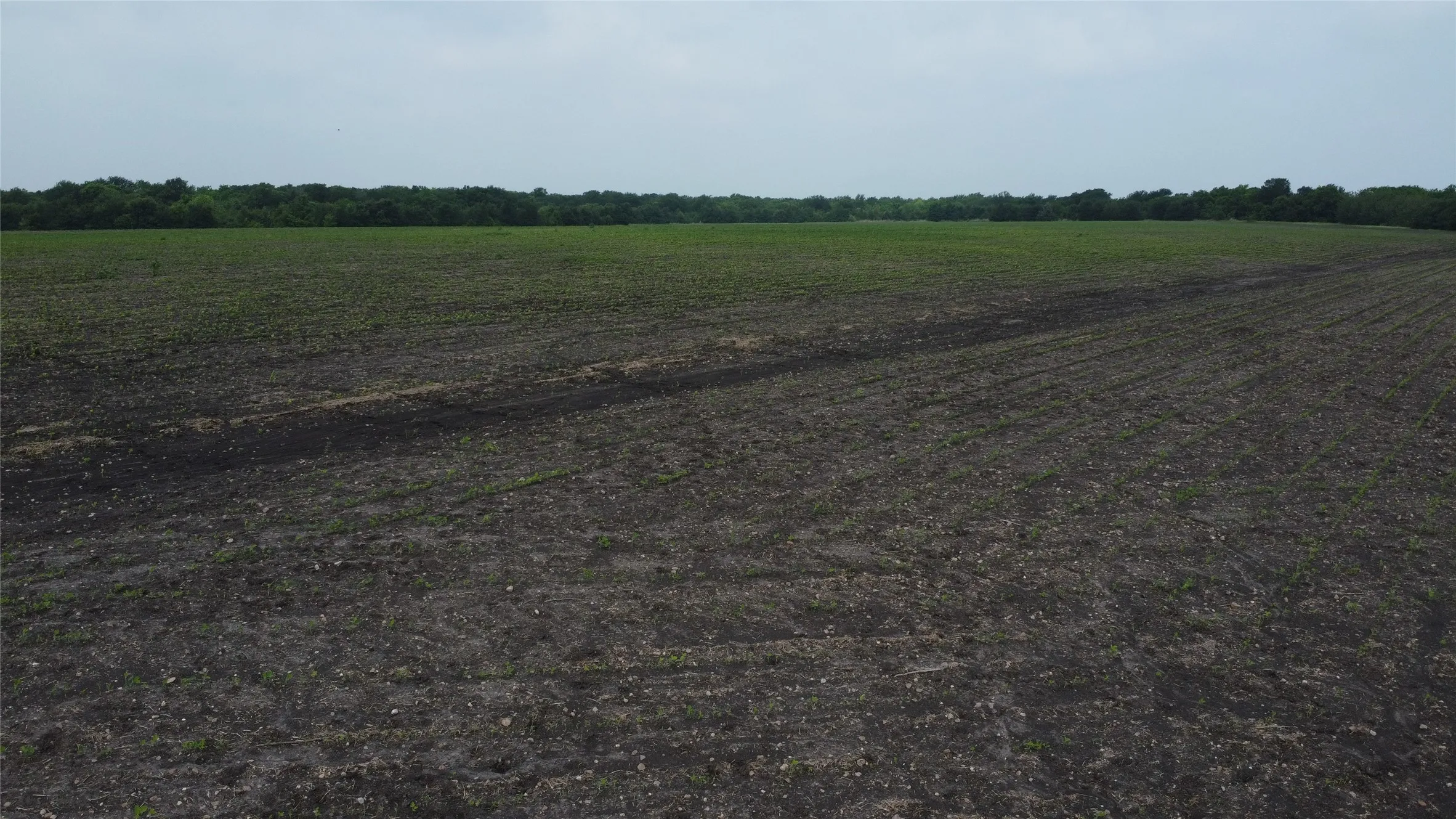 Ranch For Sale in Hunt County , 0000 County Road 4806, Commerce, Texas 75428, 0, 0, Garage spaces, 0 Sqft, built in 0, Price $798,000, mls#21258533, Real Estate Agent in Commerce, Homes For Sale in Hunt county, Homes For Sale in Commerce, Realtor in Commerce Texas, Real Estate Brokerage Independent Realty Texas, Luminita Cordes Realtor