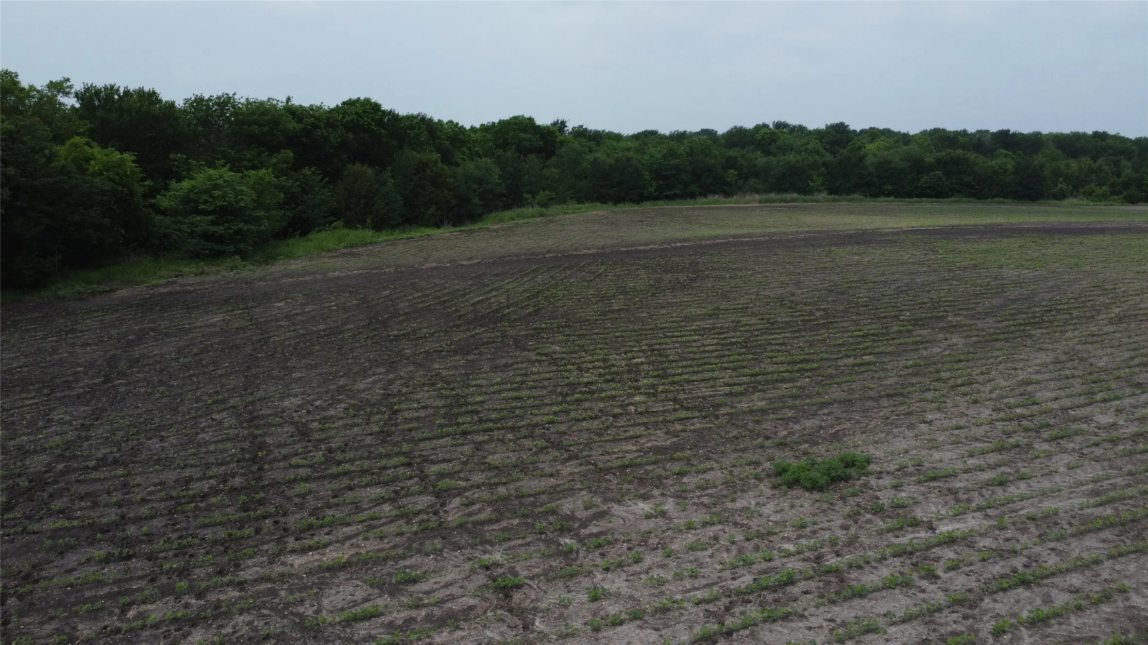 Ranch For Sale in Hunt County , 0000 County Road 4806, Commerce, Texas 75428, 0, 0, Garage spaces, 0 Sqft, built in 0, Price $798,000, mls#21258533, Real Estate Agent in Commerce, Homes For Sale in Hunt county, Homes For Sale in Commerce, Realtor in Commerce Texas, Real Estate Brokerage Independent Realty Texas, Luminita Cordes Realtor