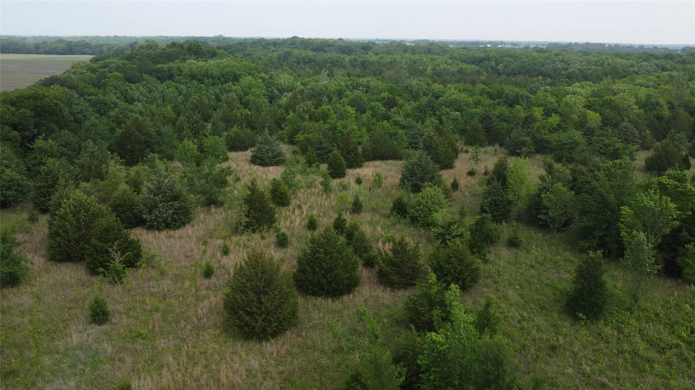 Ranch For Sale in Hunt County , 0000 County Road 4806, Commerce, Texas 75428, 0, 0, Garage spaces, 0 Sqft, built in 0, Price $798,000, mls#21258533, Real Estate Agent in Commerce, Homes For Sale in Hunt county, Homes For Sale in Commerce, Realtor in Commerce Texas, Real Estate Brokerage Independent Realty Texas, Luminita Cordes Realtor