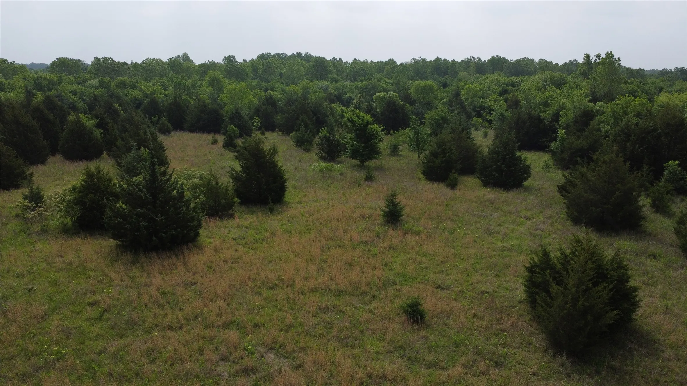 Ranch For Sale in Hunt County , 0000 County Road 4806, Commerce, Texas 75428, 0, 0, Garage spaces, 0 Sqft, built in 0, Price $798,000, mls#21258533, Real Estate Agent in Commerce, Homes For Sale in Hunt county, Homes For Sale in Commerce, Realtor in Commerce Texas, Real Estate Brokerage Independent Realty Texas, Luminita Cordes Realtor