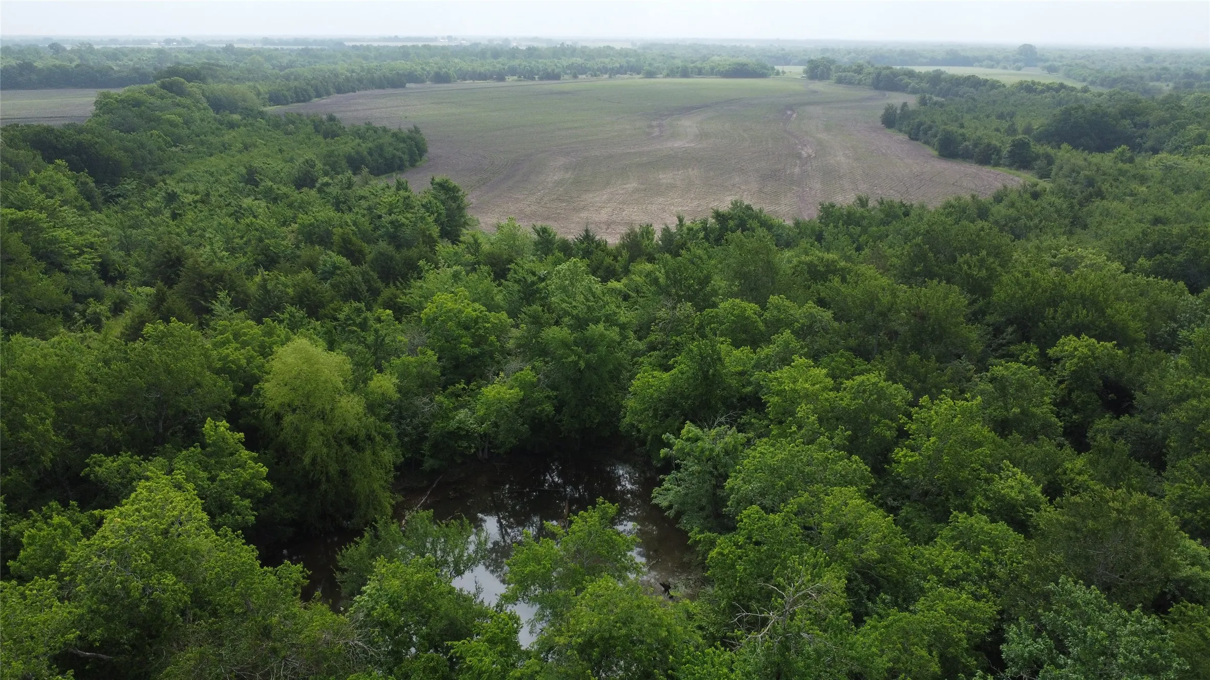 Ranch For Sale in Hunt County , 0000 County Road 4806, Commerce, Texas 75428, 0, 0, Garage spaces, 0 Sqft, built in 0, Price $798,000, mls#21258533, Real Estate Agent in Commerce, Homes For Sale in Hunt county, Homes For Sale in Commerce, Realtor in Commerce Texas, Real Estate Brokerage Independent Realty Texas, Luminita Cordes Realtor