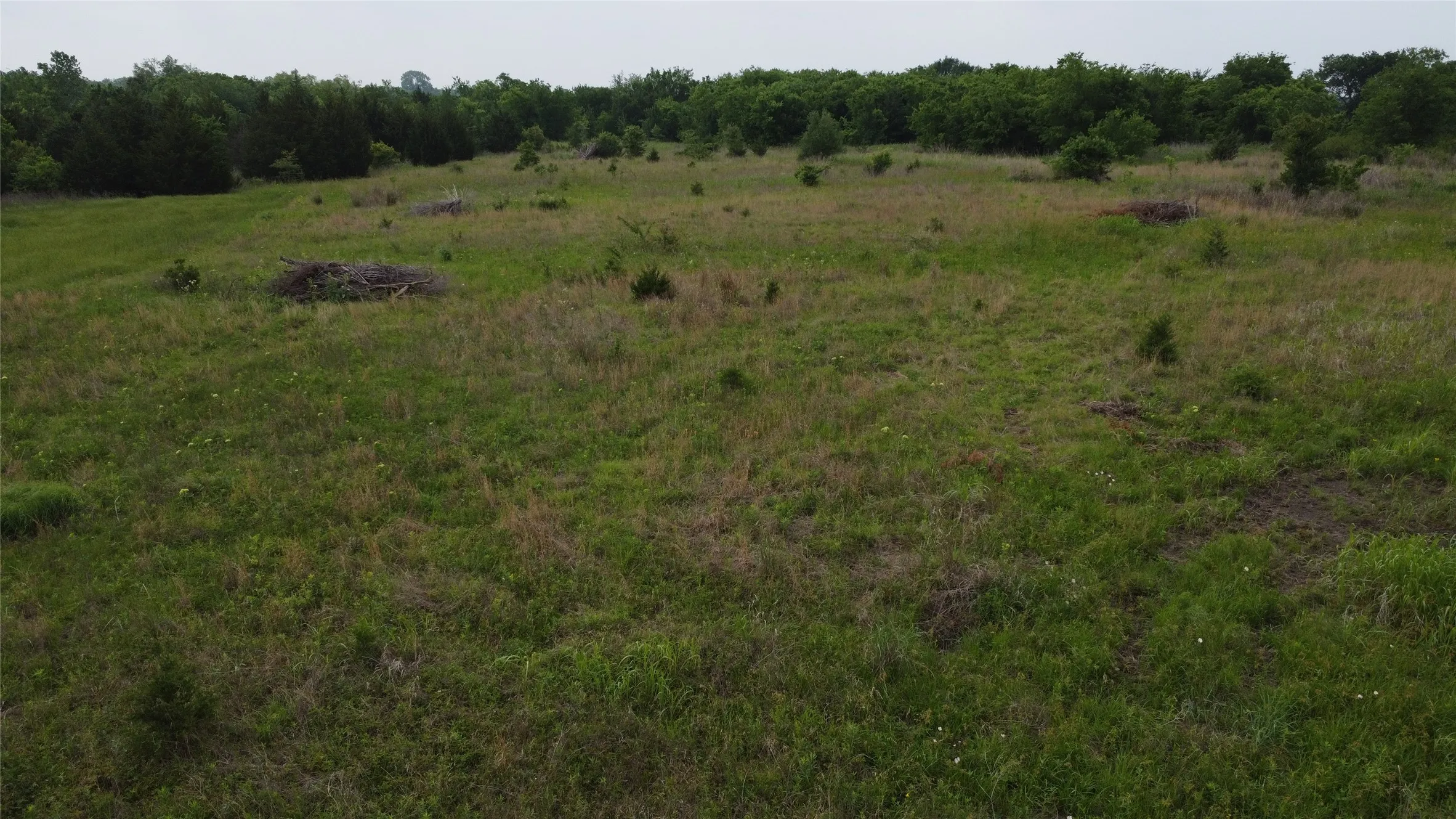 Ranch For Sale in Hunt County , 0000 County Road 4806, Commerce, Texas 75428, 0, 0, Garage spaces, 0 Sqft, built in 0, Price $798,000, mls#21258533, Real Estate Agent in Commerce, Homes For Sale in Hunt county, Homes For Sale in Commerce, Realtor in Commerce Texas, Real Estate Brokerage Independent Realty Texas, Luminita Cordes Realtor