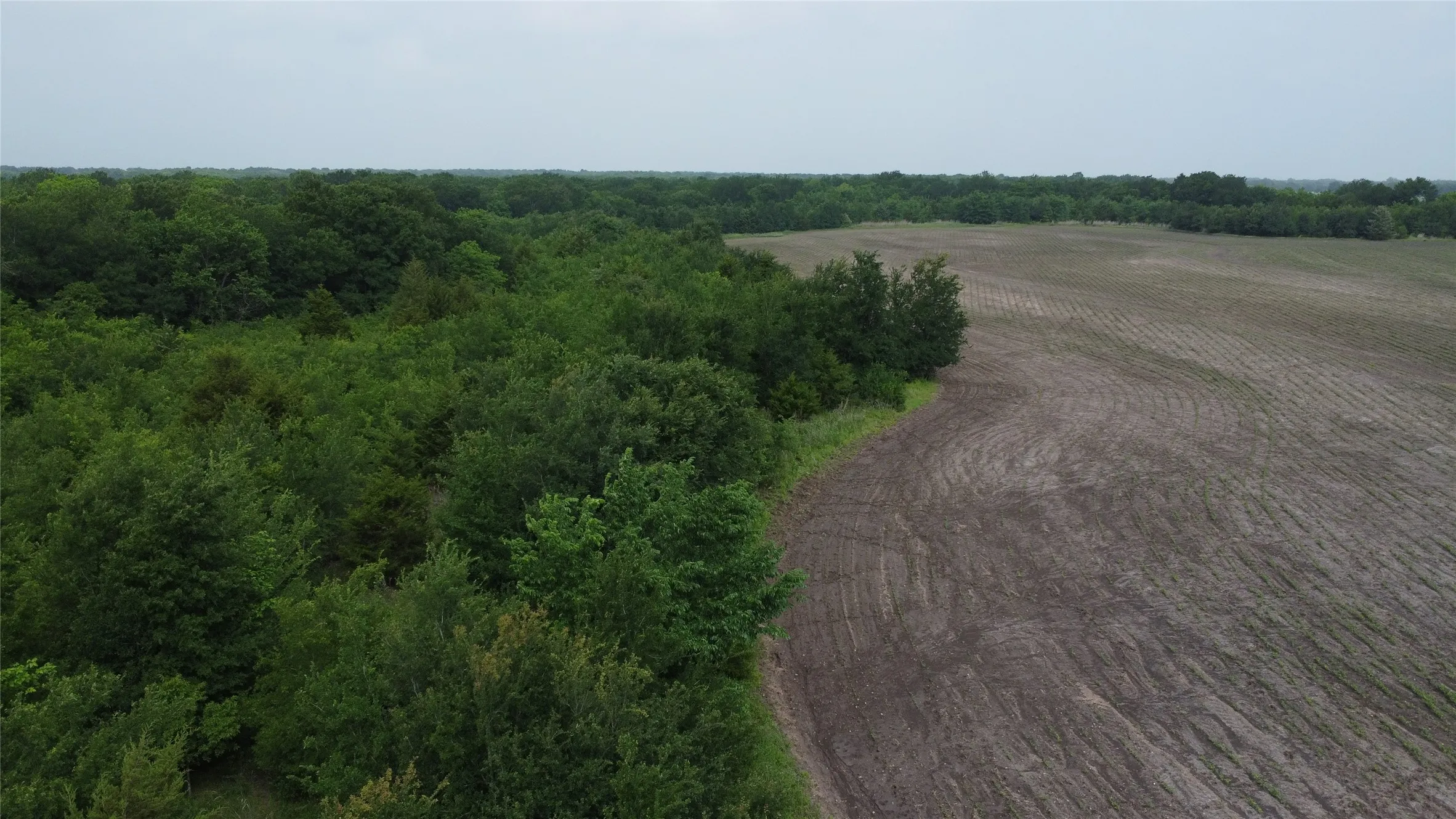 Ranch For Sale in Hunt County , 0000 County Road 4806, Commerce, Texas 75428, 0, 0, Garage spaces, 0 Sqft, built in 0, Price $798,000, mls#21258533, Real Estate Agent in Commerce, Homes For Sale in Hunt county, Homes For Sale in Commerce, Realtor in Commerce Texas, Real Estate Brokerage Independent Realty Texas, Luminita Cordes Realtor