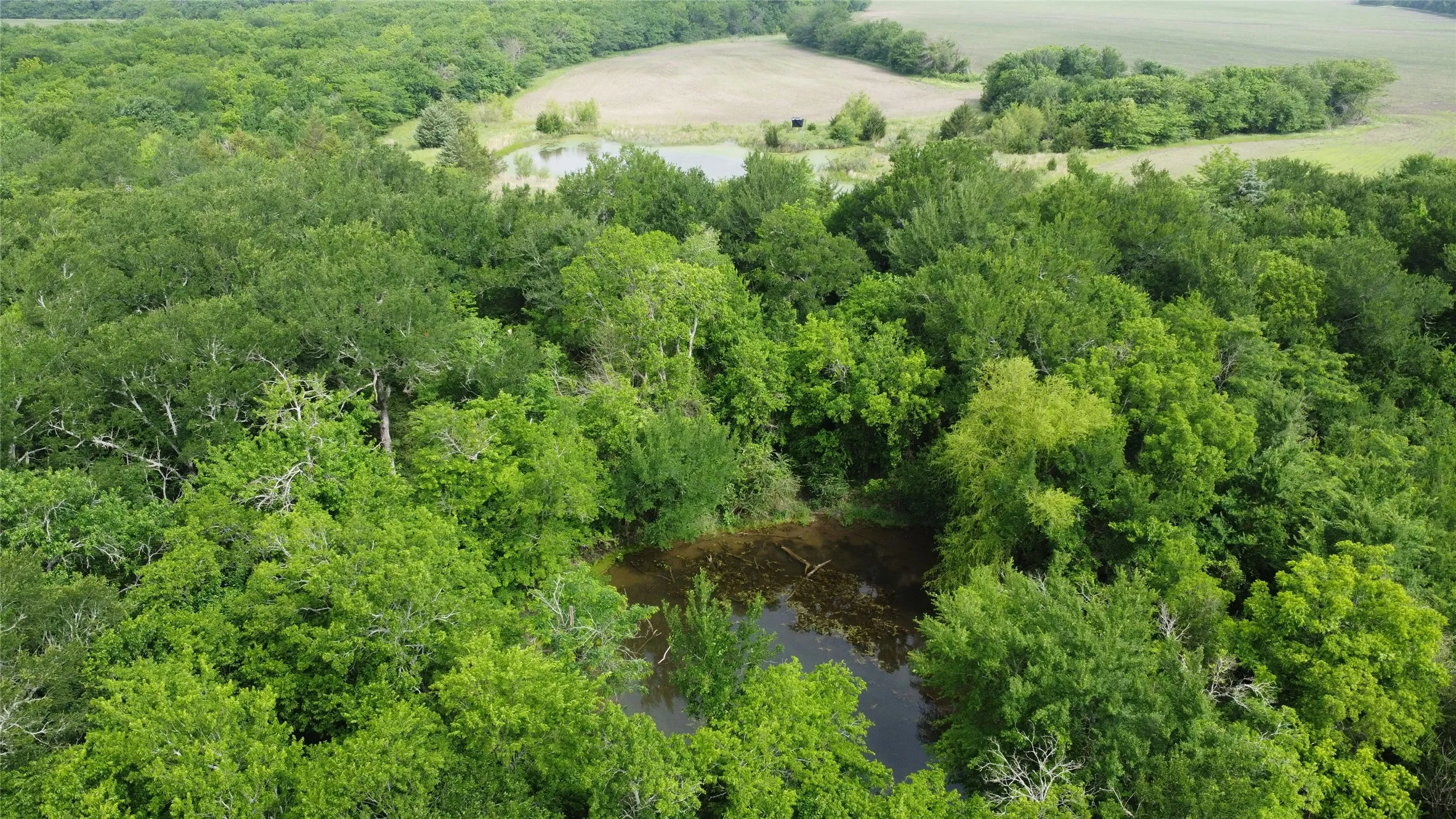 Ranch For Sale in Hunt County , 0000 County Road 4806, Commerce, Texas 75428, 0, 0, Garage spaces, 0 Sqft, built in 0, Price $798,000, mls#21258533, Real Estate Agent in Commerce, Homes For Sale in Hunt county, Homes For Sale in Commerce, Realtor in Commerce Texas, Real Estate Brokerage Independent Realty Texas, Luminita Cordes Realtor