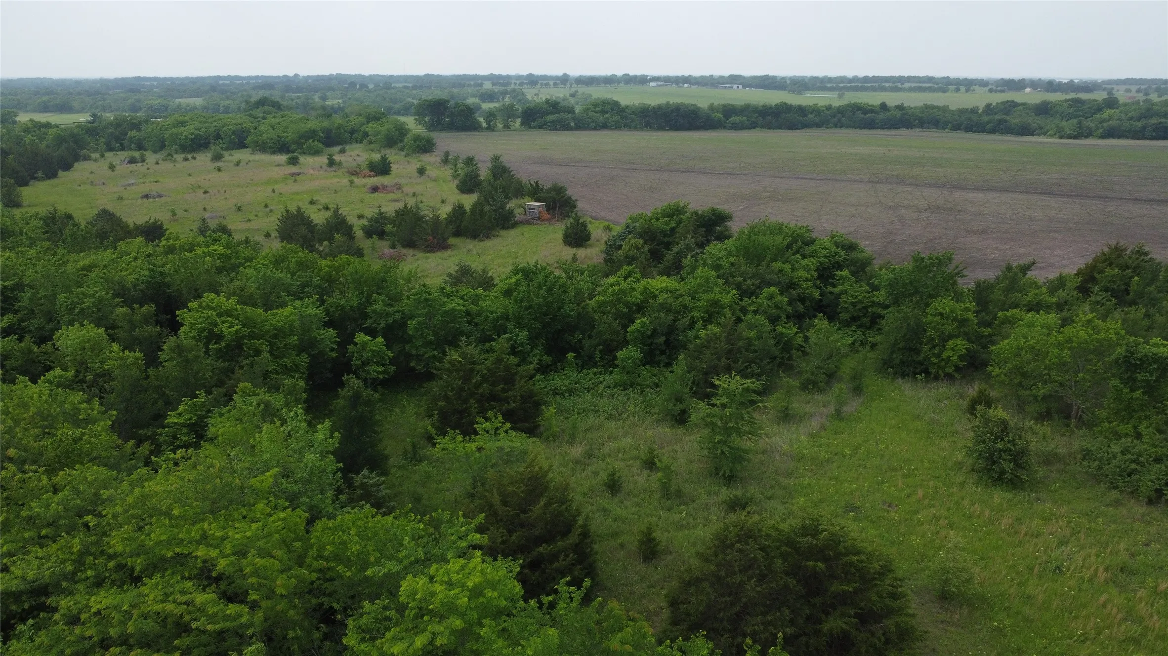 Ranch For Sale in Hunt County , 0000 County Road 4806, Commerce, Texas 75428, 0, 0, Garage spaces, 0 Sqft, built in 0, Price $798,000, mls#21258533, Real Estate Agent in Commerce, Homes For Sale in Hunt county, Homes For Sale in Commerce, Realtor in Commerce Texas, Real Estate Brokerage Independent Realty Texas, Luminita Cordes Realtor