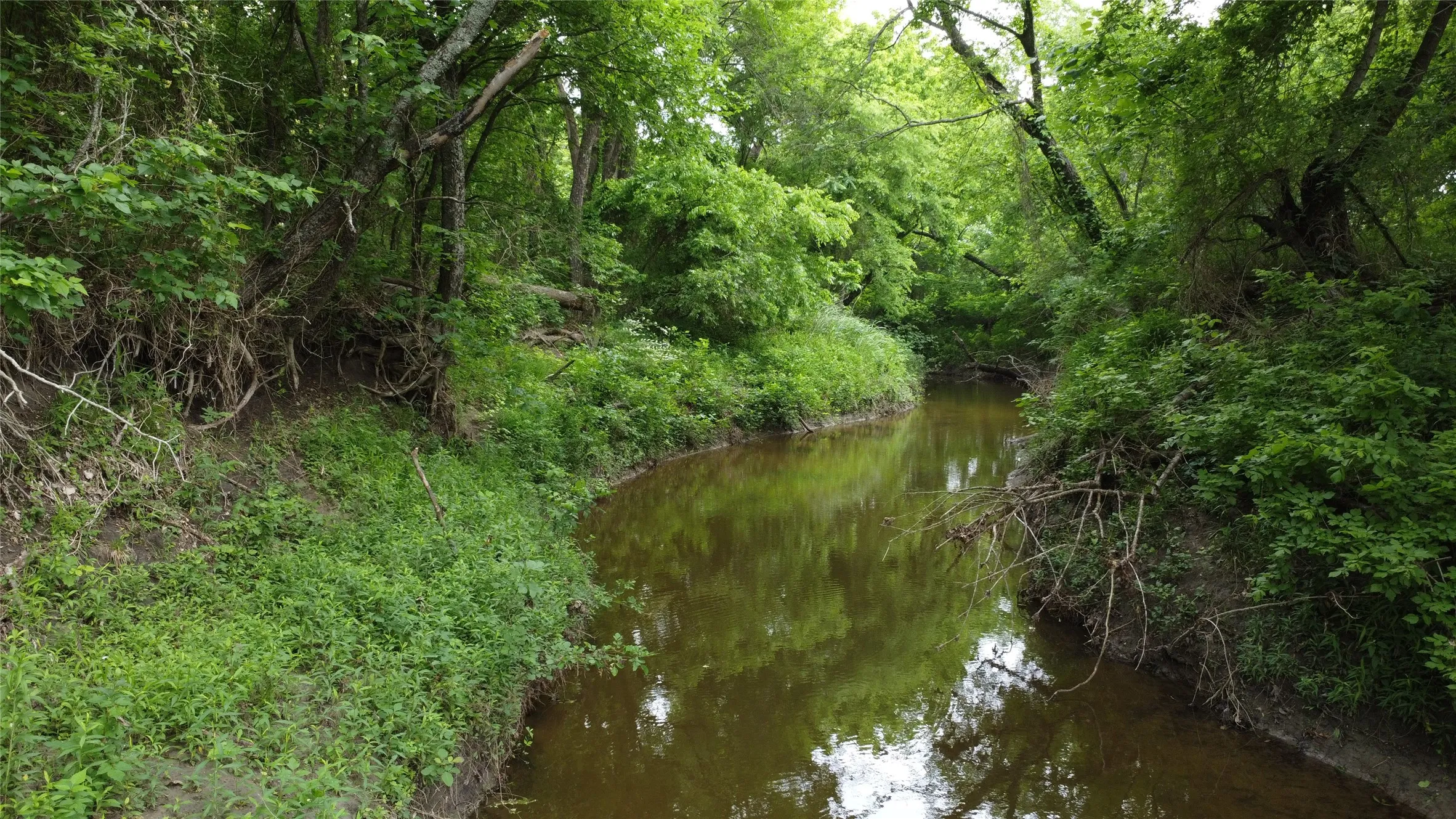 Ranch For Sale in Hunt County , 0000 County Road 4806, Commerce, Texas 75428, 0, 0, Garage spaces, 0 Sqft, built in 0, Price $798,000, mls#21258533, Real Estate Agent in Commerce, Homes For Sale in Hunt county, Homes For Sale in Commerce, Realtor in Commerce Texas, Real Estate Brokerage Independent Realty Texas, Luminita Cordes Realtor