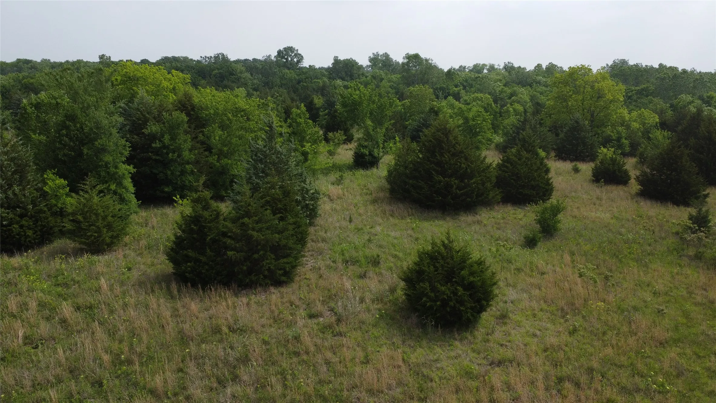 Ranch For Sale in Hunt County , 0000 County Road 4806, Commerce, Texas 75428, 0, 0, Garage spaces, 0 Sqft, built in 0, Price $798,000, mls#21258533, Real Estate Agent in Commerce, Homes For Sale in Hunt county, Homes For Sale in Commerce, Realtor in Commerce Texas, Real Estate Brokerage Independent Realty Texas, Luminita Cordes Realtor
