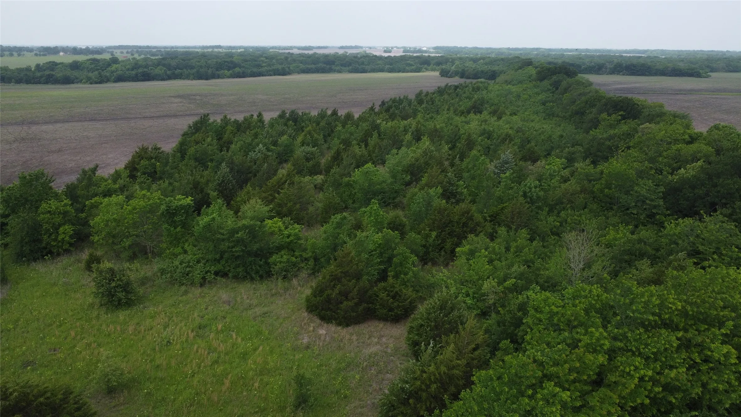 Ranch For Sale in Hunt County , 0000 County Road 4806, Commerce, Texas 75428, 0, 0, Garage spaces, 0 Sqft, built in 0, Price $798,000, mls#21258533, Real Estate Agent in Commerce, Homes For Sale in Hunt county, Homes For Sale in Commerce, Realtor in Commerce Texas, Real Estate Brokerage Independent Realty Texas, Luminita Cordes Realtor