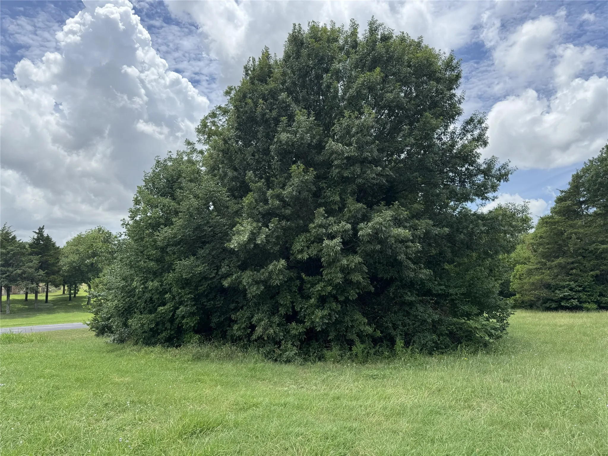 Unimproved Land For Sale in Collin County , E-19 Waterstone Estates Drive, Mc Kinney, Texas 75071, 0, 0, Garage spaces, 0 Sqft, built in 0, Price $399,900, mls#21245468, Real Estate Agent in Mc Kinney, Homes For Sale in Collin county, Homes For Sale in Mc Kinney, Realtor in Mc Kinney Texas, Real Estate Brokerage Independent Realty Texas, Luminita Cordes Realtor