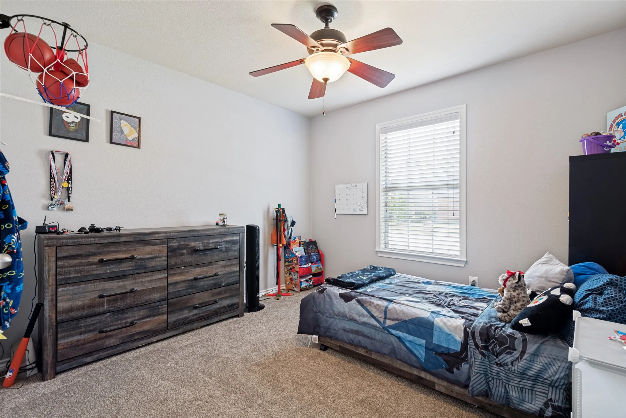Bright room featuring neutral wall paint, carpet flooring, a ceiling fan with light fixture, and a window with blinds