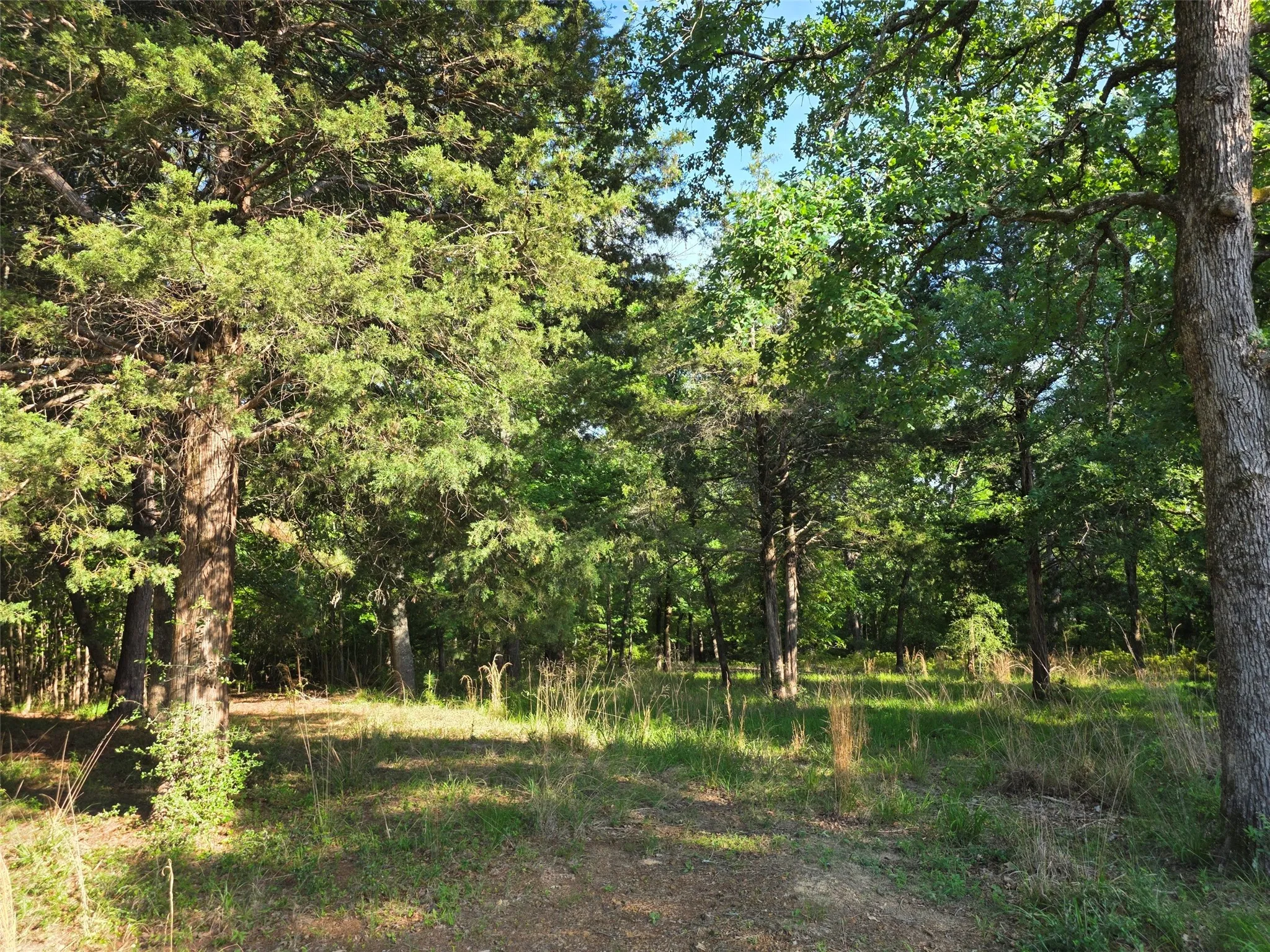 This could be your future driveway at Safari Waters Ranch!