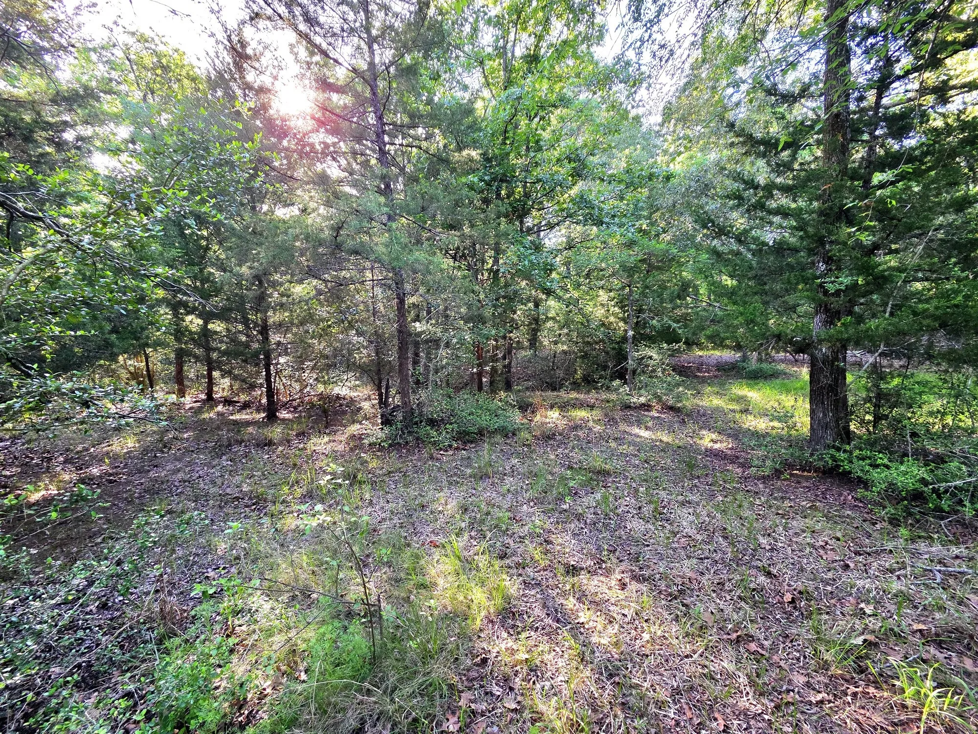 A wet weather creek traverses the middle of the property.
