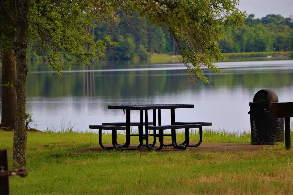 Imagine having a picnic at this neighborhood amity overlooking Tolar lake.