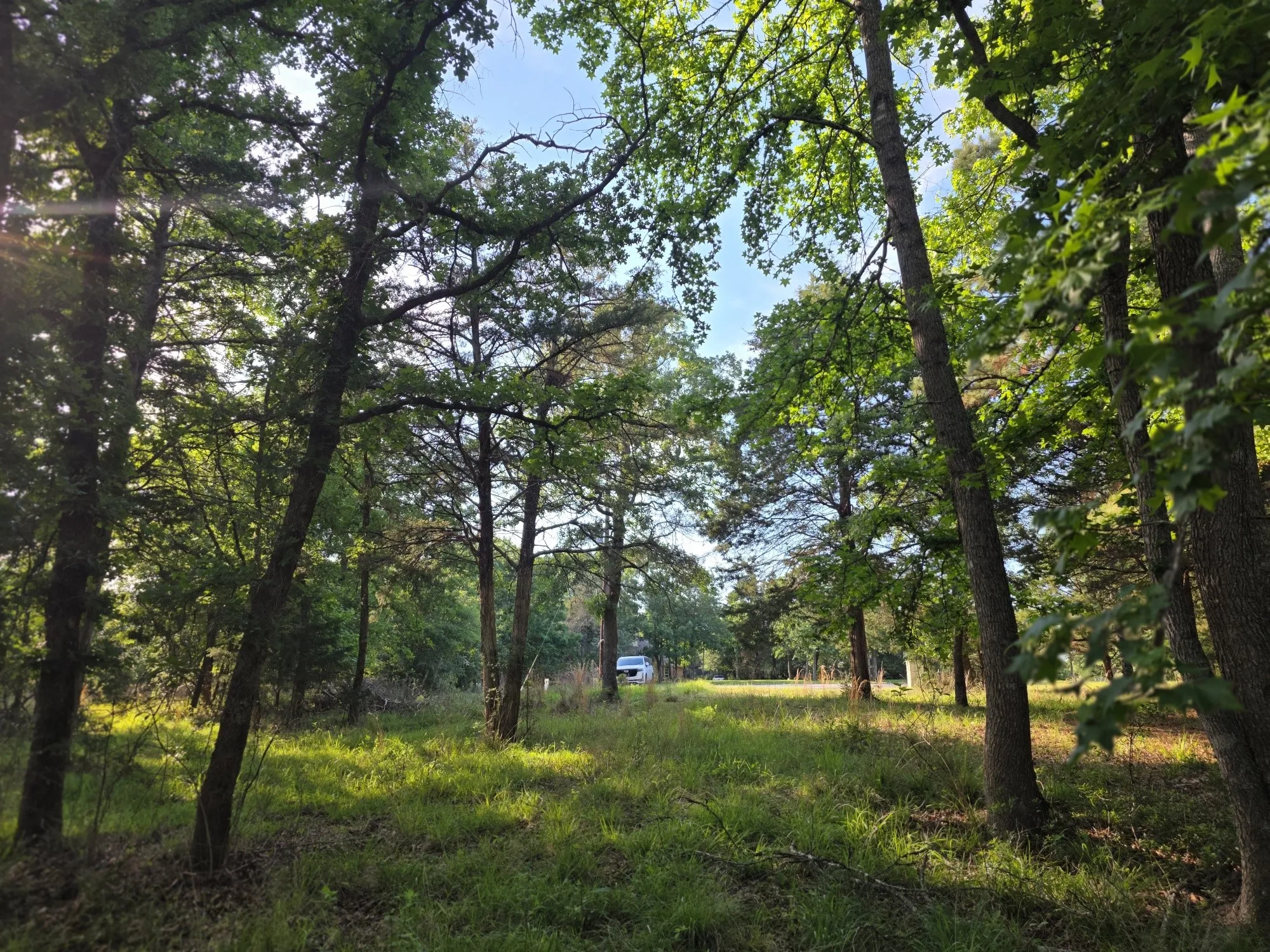 Improved Land For Sale in Henderson County , Lot 377 Timber Ridge, Larue, Texas 75770, 0, 0, Garage spaces, 0 Sqft, built in 0, Price $83,000, mls#21258688, Real Estate Agent in Larue, Homes For Sale in Henderson county, Homes For Sale in Larue, Realtor in Larue Texas, Real Estate Brokerage Independent Realty Texas, Luminita Cordes Realtor