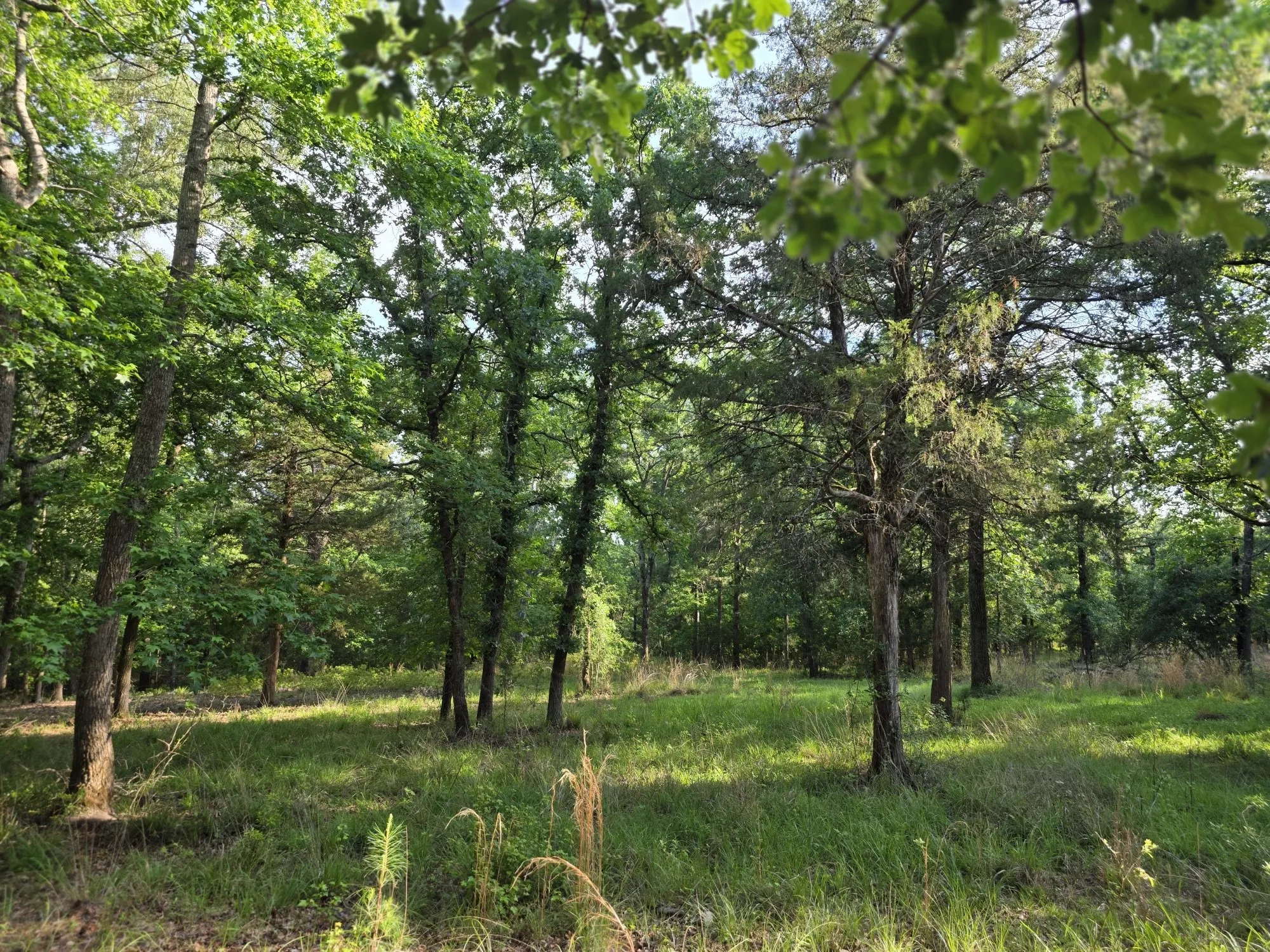 Improved Land For Sale in Henderson County , Lot 377 Timber Ridge, Larue, Texas 75770, 0, 0, Garage spaces, 0 Sqft, built in 0, Price $83,000, mls#21258688, Real Estate Agent in Larue, Homes For Sale in Henderson county, Homes For Sale in Larue, Realtor in Larue Texas, Real Estate Brokerage Independent Realty Texas, Luminita Cordes Realtor