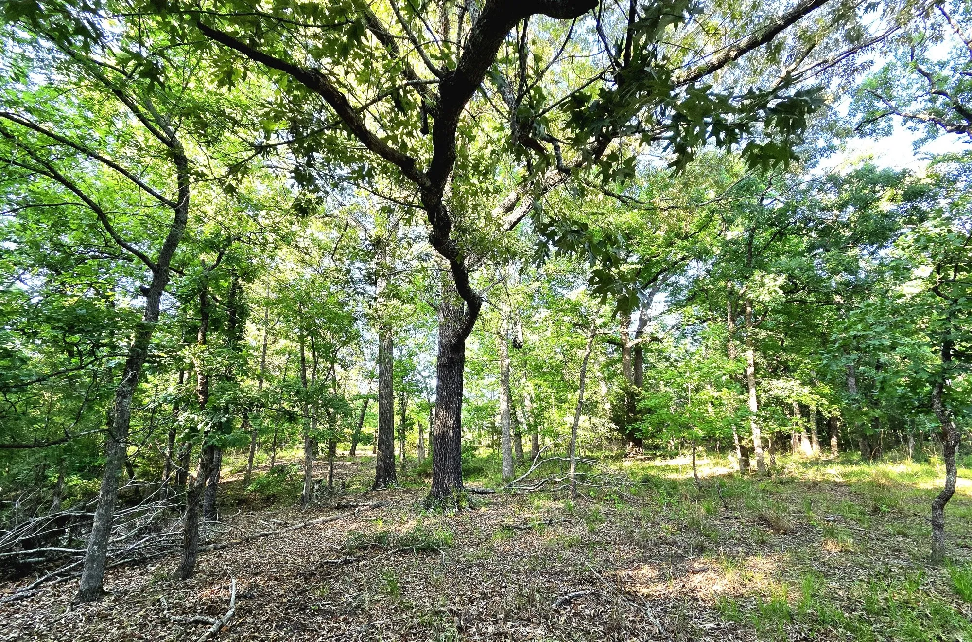This is a beautiful piece of land waiting to host your new home.