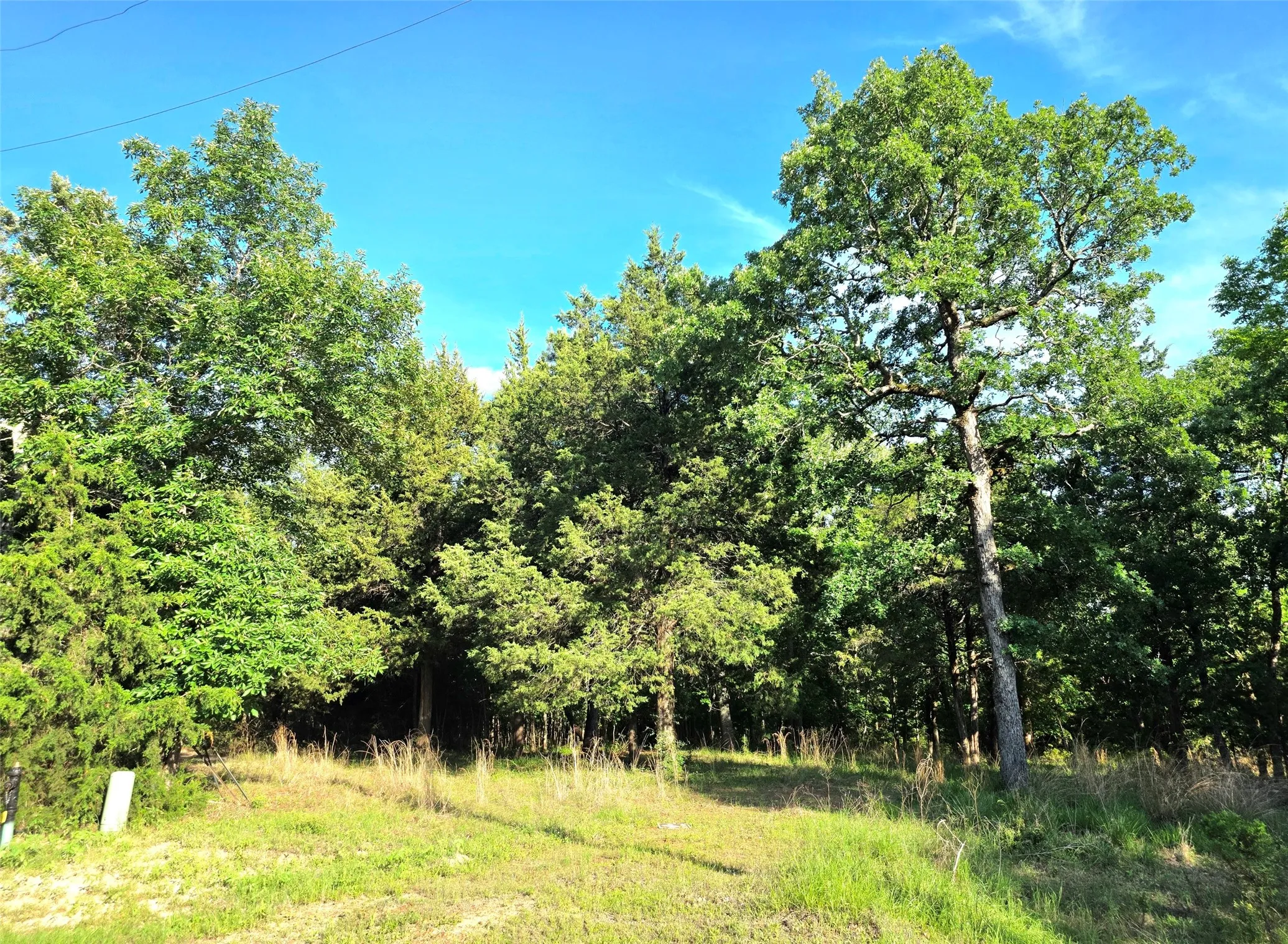 Improved Land For Sale in Henderson County , Lot 377 Timber Ridge, Larue, Texas 75770, 0, 0, Garage spaces, 0 Sqft, built in 0, Price $83,000, mls#21258688, Real Estate Agent in Larue, Homes For Sale in Henderson county, Homes For Sale in Larue, Realtor in Larue Texas, Real Estate Brokerage Independent Realty Texas, Luminita Cordes Realtor