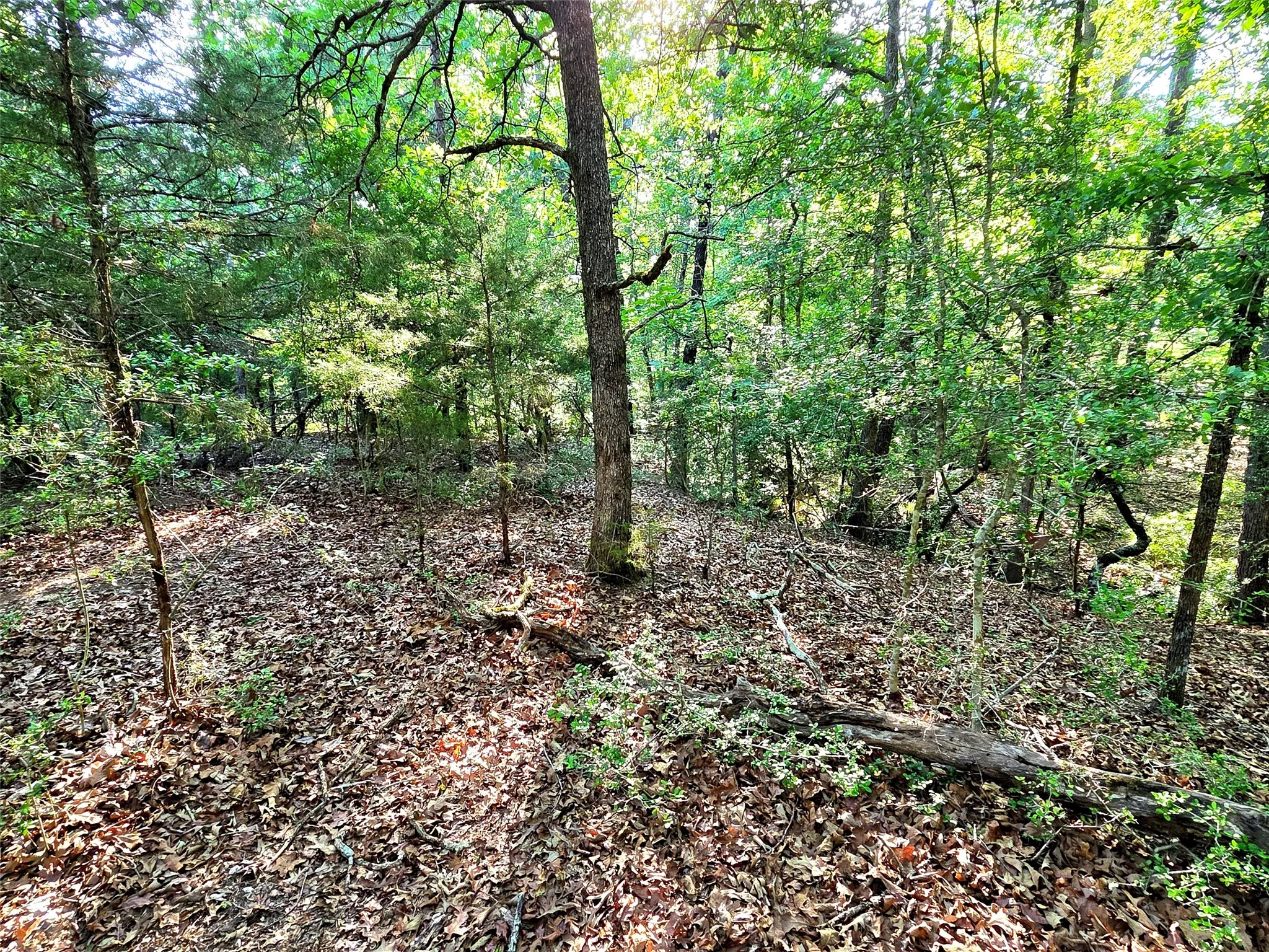 When visiting this lot, be sure to check out the unique peninsula feature that was created by the forks of the wet weather creek that crosses this property. This would make a incredible spot for a fire pit, gazebo or both.