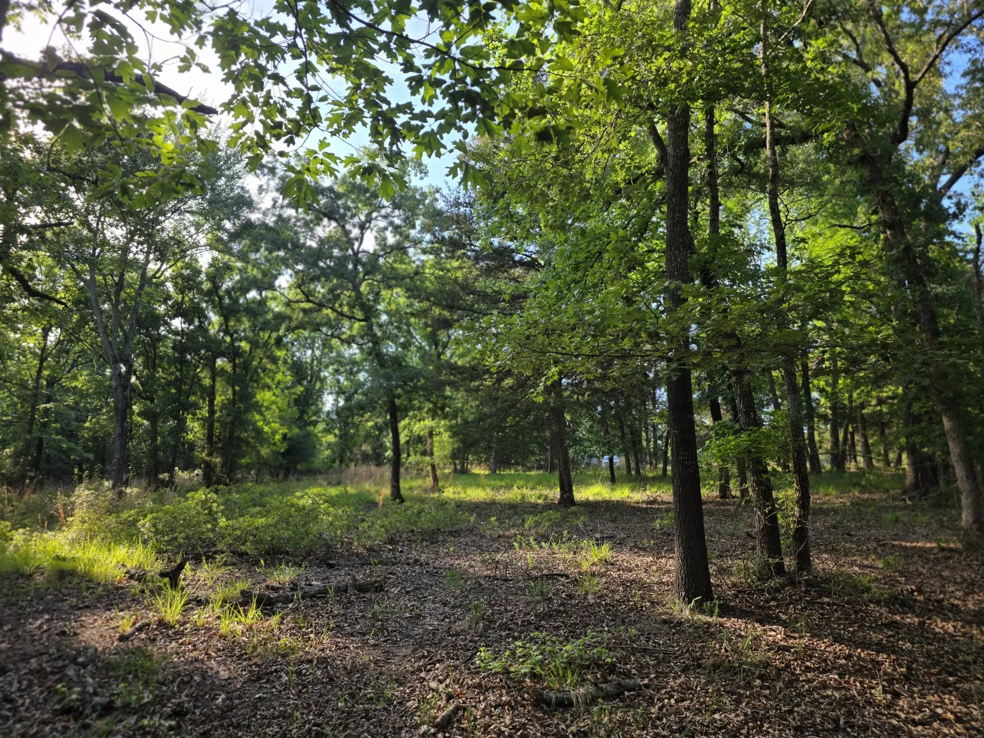 Another view of Lot 377