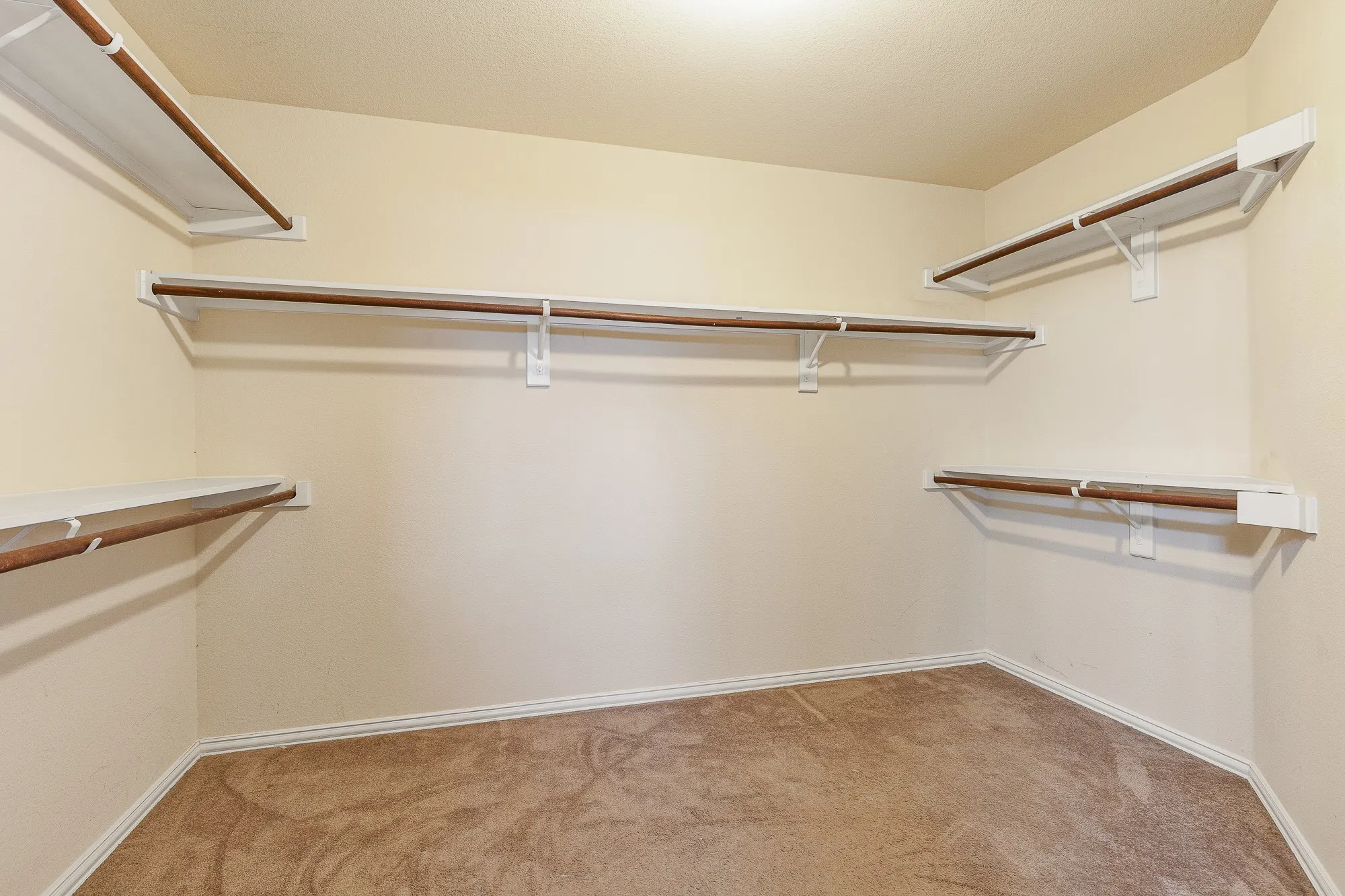 Walk-in Primary closet with beige carpeting and light-toned walls