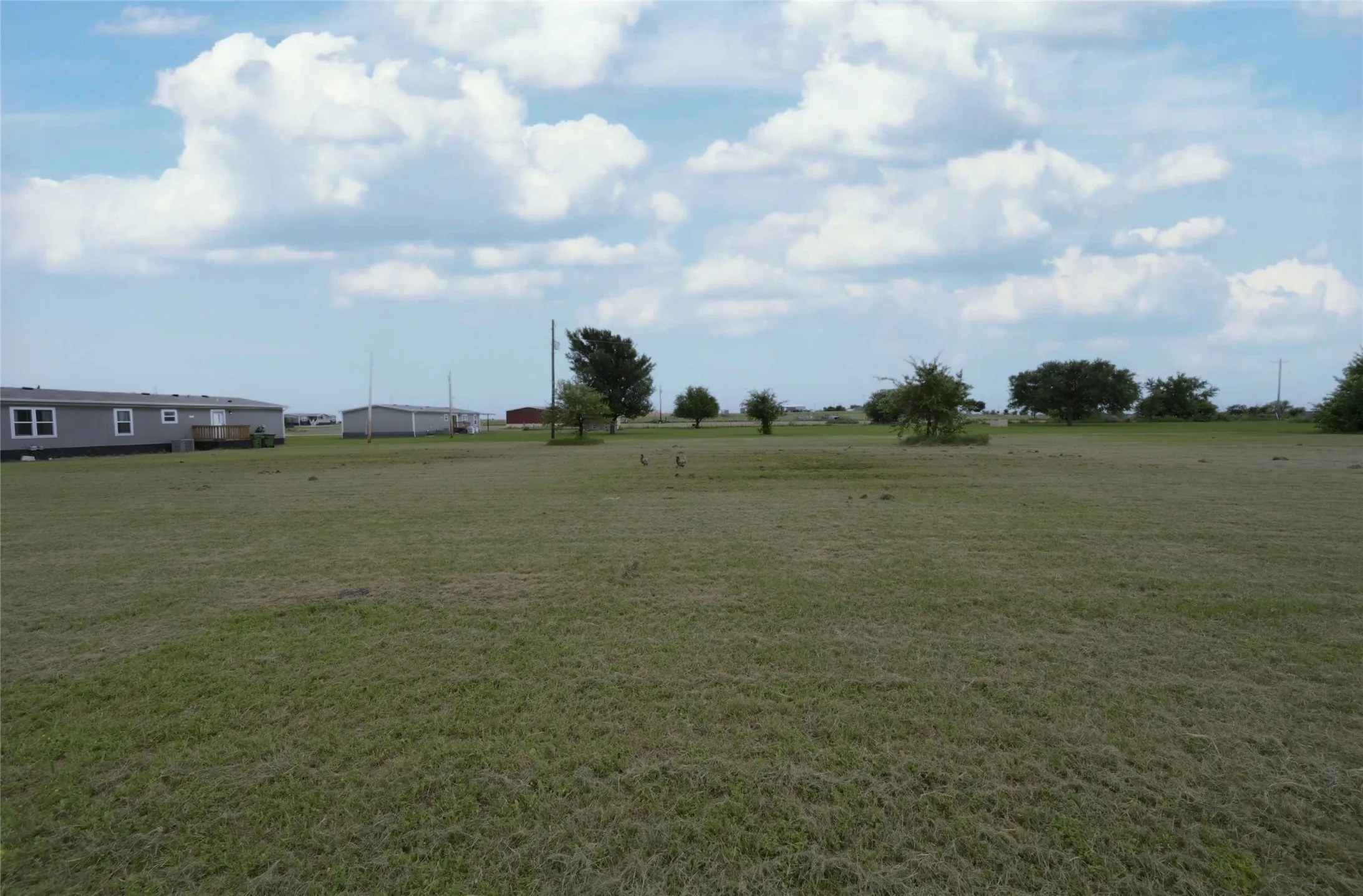 Rear view of property