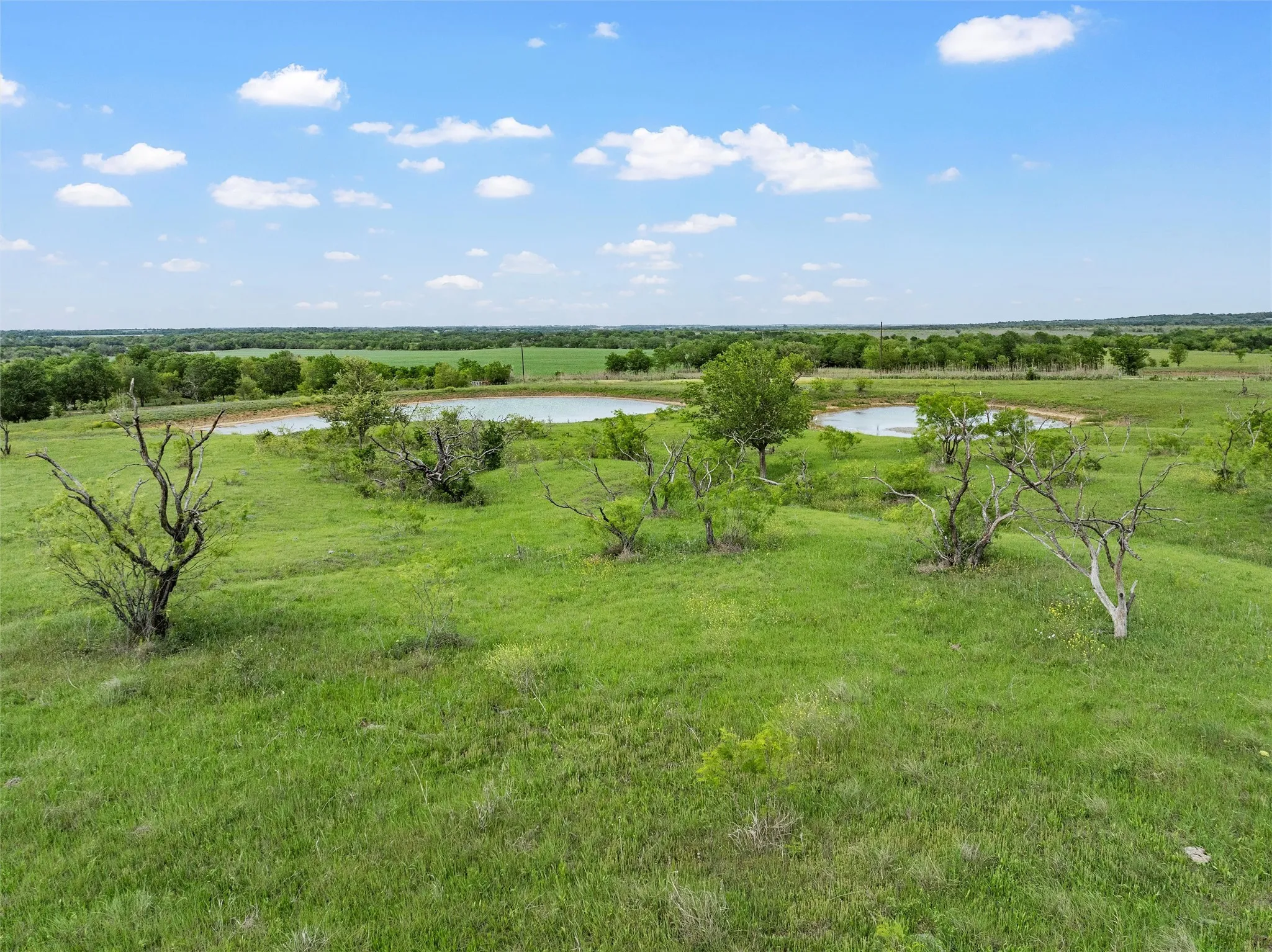 Improved Land For Sale in Falls County , TBD Cr 462, Lott, Texas 76656, 0, 0, Garage spaces, 0 Sqft, built in 0, mls#21257810, Real Estate Agent in Lott, Homes For Sale in Falls county, Homes For Sale in Lott, Realtor in Lott Texas, Real Estate Brokerage Independent Realty Texas, Luminita Cordes Realtor