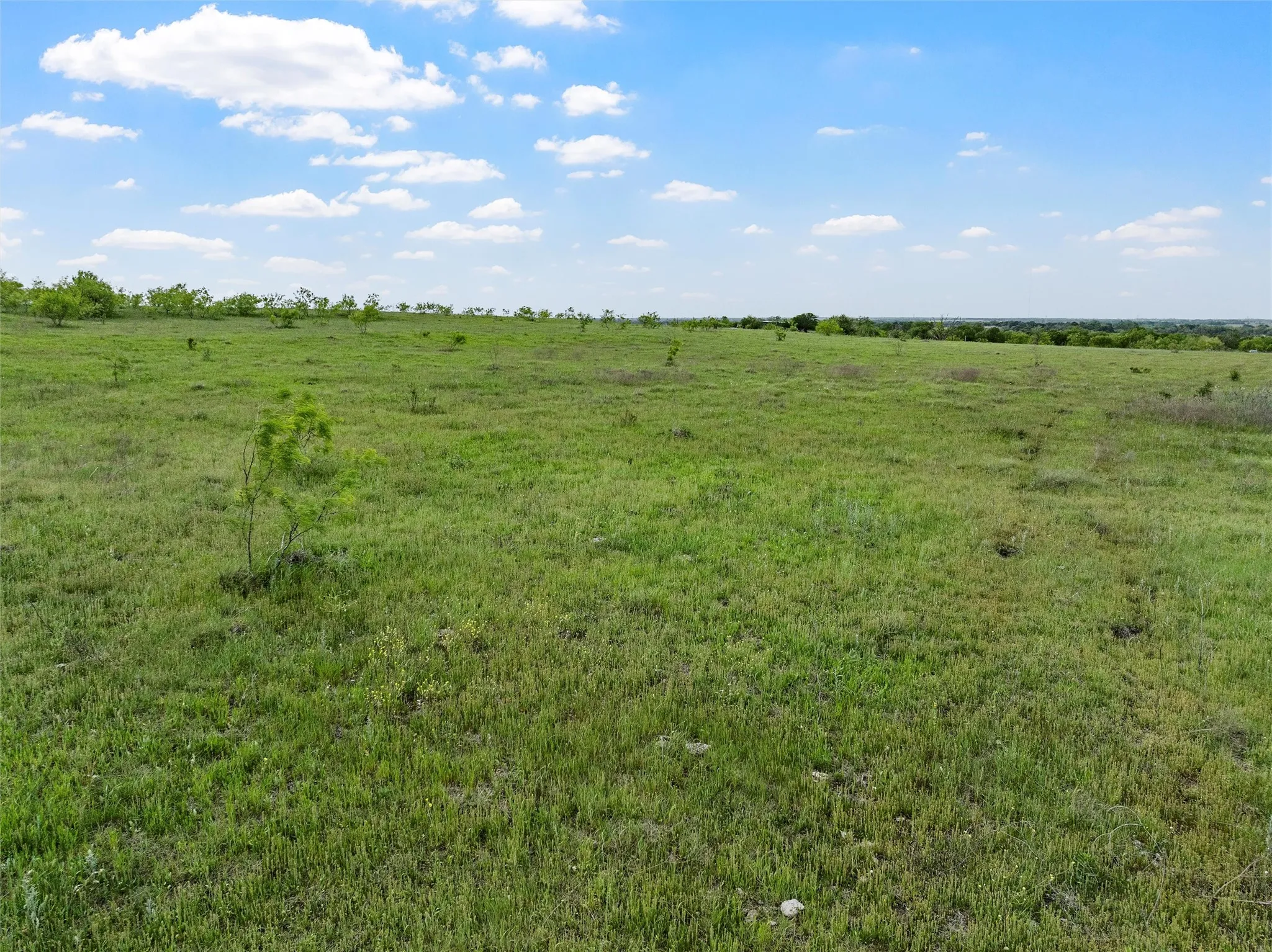 Improved Land For Sale in Falls County , TBD Cr 462, Lott, Texas 76656, 0, 0, Garage spaces, 0 Sqft, built in 0, mls#21257810, Real Estate Agent in Lott, Homes For Sale in Falls county, Homes For Sale in Lott, Realtor in Lott Texas, Real Estate Brokerage Independent Realty Texas, Luminita Cordes Realtor