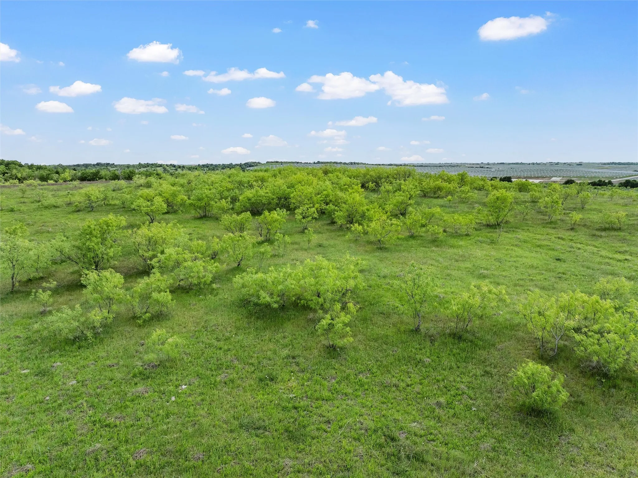 Improved Land For Sale in Falls County , TBD Cr 462, Lott, Texas 76656, 0, 0, Garage spaces, 0 Sqft, built in 0, mls#21257810, Real Estate Agent in Lott, Homes For Sale in Falls county, Homes For Sale in Lott, Realtor in Lott Texas, Real Estate Brokerage Independent Realty Texas, Luminita Cordes Realtor