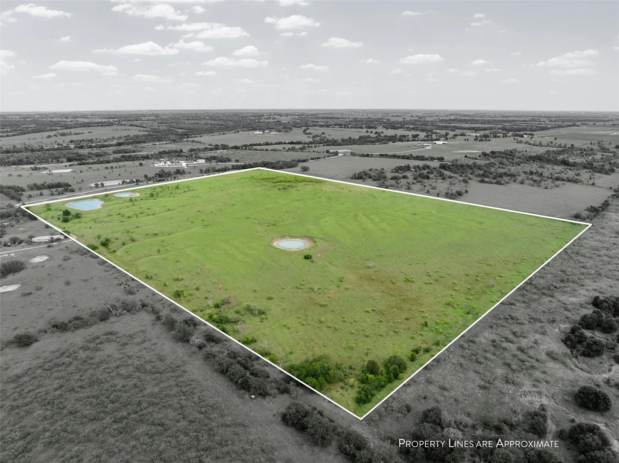 Improved Land For Sale in Falls County , TBD Cr 462, Lott, Texas 76656, 0, 0, Garage spaces, 0 Sqft, built in 0, mls#21257810, Real Estate Agent in Lott, Homes For Sale in Falls county, Homes For Sale in Lott, Realtor in Lott Texas, Real Estate Brokerage Independent Realty Texas, Luminita Cordes Realtor