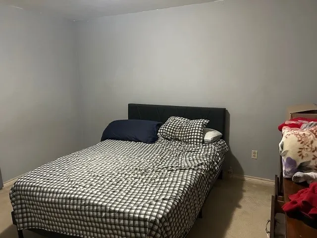 Room featuring light gray painted walls and carpet flooring