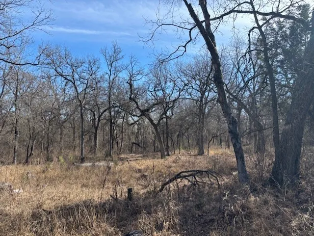 Unimproved Land For Sale in Parker County , 1255 Eagles Bluff Drive, Weatherford, Texas 76087, 0, 0, Garage spaces, 0 Sqft, built in 0, Price $350,000, mls#21247866, Real Estate Agent in Weatherford, Homes For Sale in Parker county, Homes For Sale in Weatherford, Realtor in Weatherford Texas, Real Estate Brokerage Independent Realty Texas, Luminita Cordes Realtor