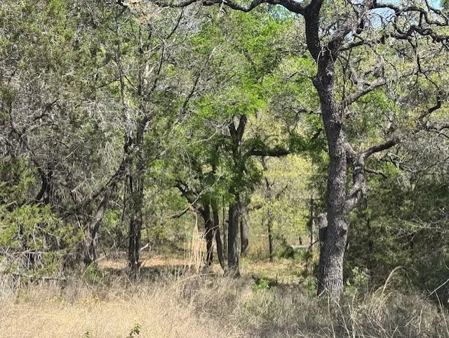 Unimproved Land For Sale in Parker County , 1255 Eagles Bluff Drive, Weatherford, Texas 76087, 0, 0, Garage spaces, 0 Sqft, built in 0, Price $350,000, mls#21247866, Real Estate Agent in Weatherford, Homes For Sale in Parker county, Homes For Sale in Weatherford, Realtor in Weatherford Texas, Real Estate Brokerage Independent Realty Texas, Luminita Cordes Realtor