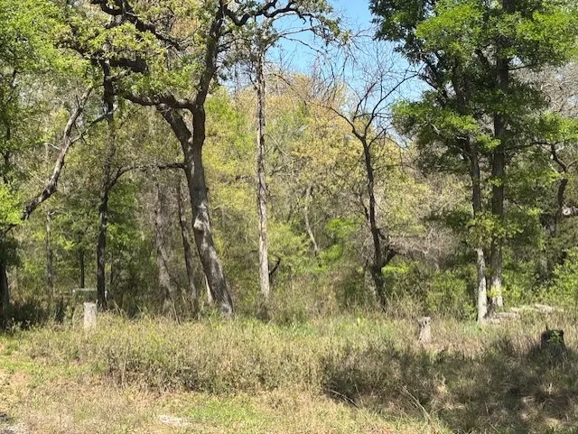 Unimproved Land For Sale in Parker County , 1255 Eagles Bluff Drive, Weatherford, Texas 76087, 0, 0, Garage spaces, 0 Sqft, built in 0, Price $350,000, mls#21247866, Real Estate Agent in Weatherford, Homes For Sale in Parker county, Homes For Sale in Weatherford, Realtor in Weatherford Texas, Real Estate Brokerage Independent Realty Texas, Luminita Cordes Realtor
