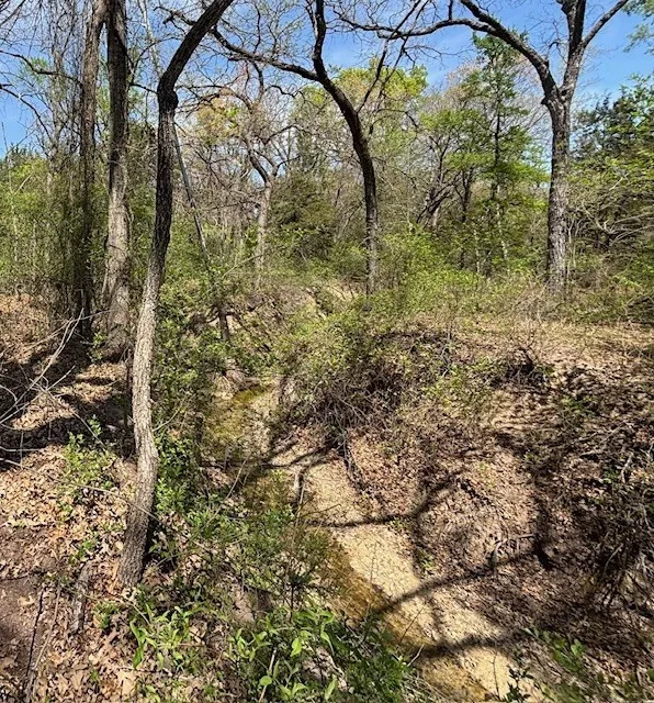 Unimproved Land For Sale in Parker County , 1255 Eagles Bluff Drive, Weatherford, Texas 76087, 0, 0, Garage spaces, 0 Sqft, built in 0, Price $350,000, mls#21247866, Real Estate Agent in Weatherford, Homes For Sale in Parker county, Homes For Sale in Weatherford, Realtor in Weatherford Texas, Real Estate Brokerage Independent Realty Texas, Luminita Cordes Realtor