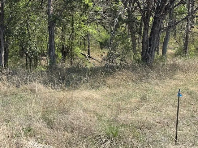 Unimproved Land For Sale in Parker County , 1255 Eagles Bluff Drive, Weatherford, Texas 76087, 0, 0, Garage spaces, 0 Sqft, built in 0, Price $350,000, mls#21247866, Real Estate Agent in Weatherford, Homes For Sale in Parker county, Homes For Sale in Weatherford, Realtor in Weatherford Texas, Real Estate Brokerage Independent Realty Texas, Luminita Cordes Realtor
