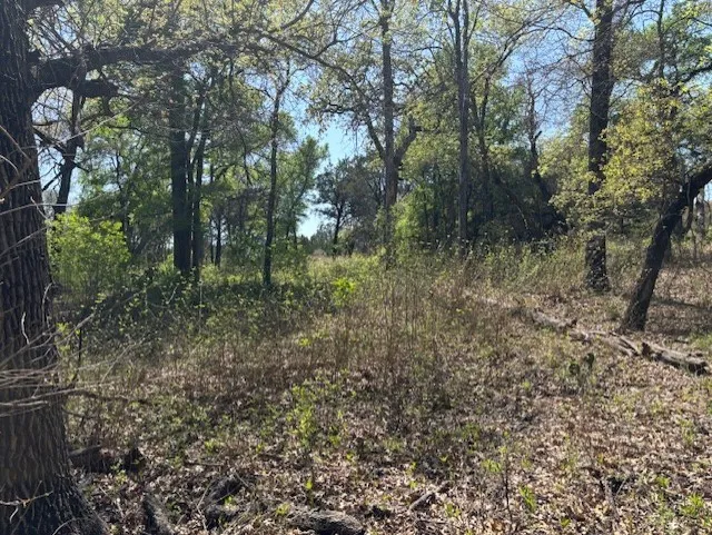 Unimproved Land For Sale in Parker County , 1255 Eagles Bluff Drive, Weatherford, Texas 76087, 0, 0, Garage spaces, 0 Sqft, built in 0, Price $350,000, mls#21247866, Real Estate Agent in Weatherford, Homes For Sale in Parker county, Homes For Sale in Weatherford, Realtor in Weatherford Texas, Real Estate Brokerage Independent Realty Texas, Luminita Cordes Realtor